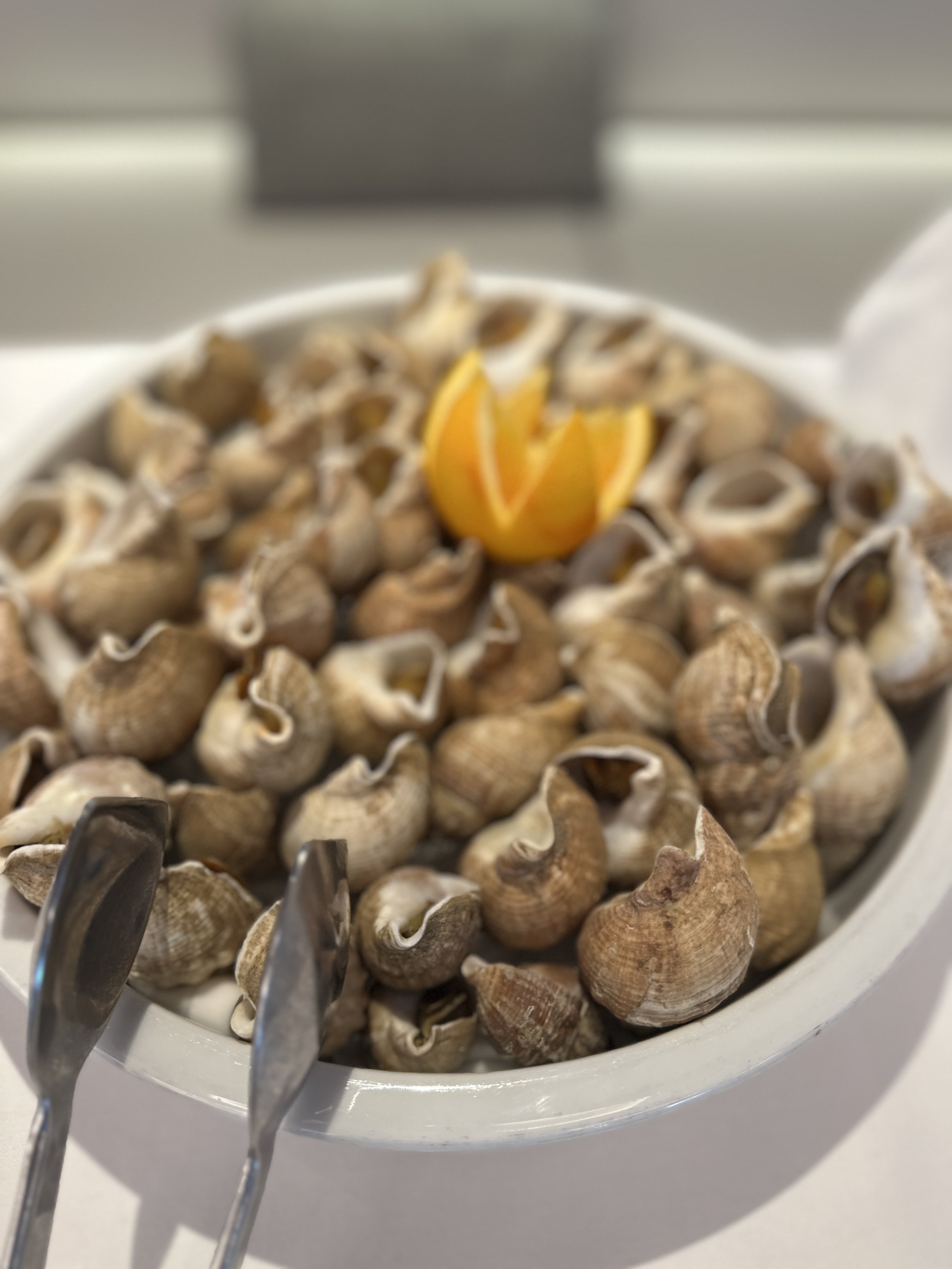 Ponant Le Commandant Charcot TravelswithTesa.JPG