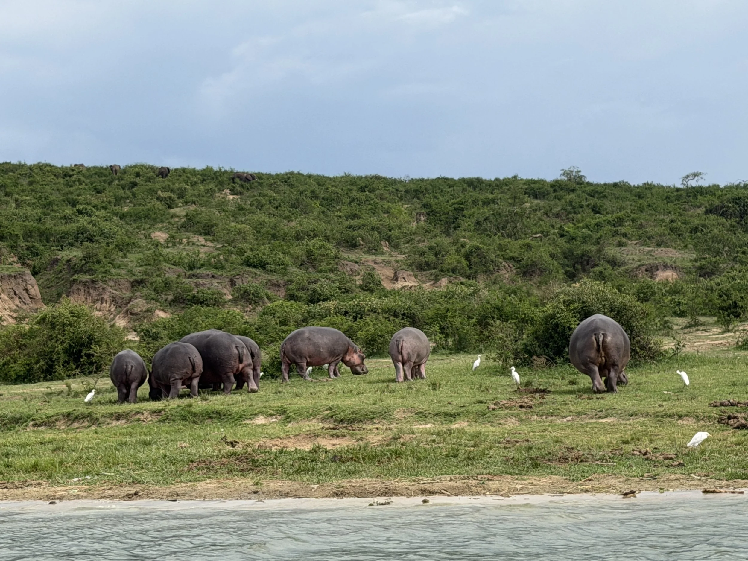 KazingaChannel Uganda TravelswithTesa.JPG