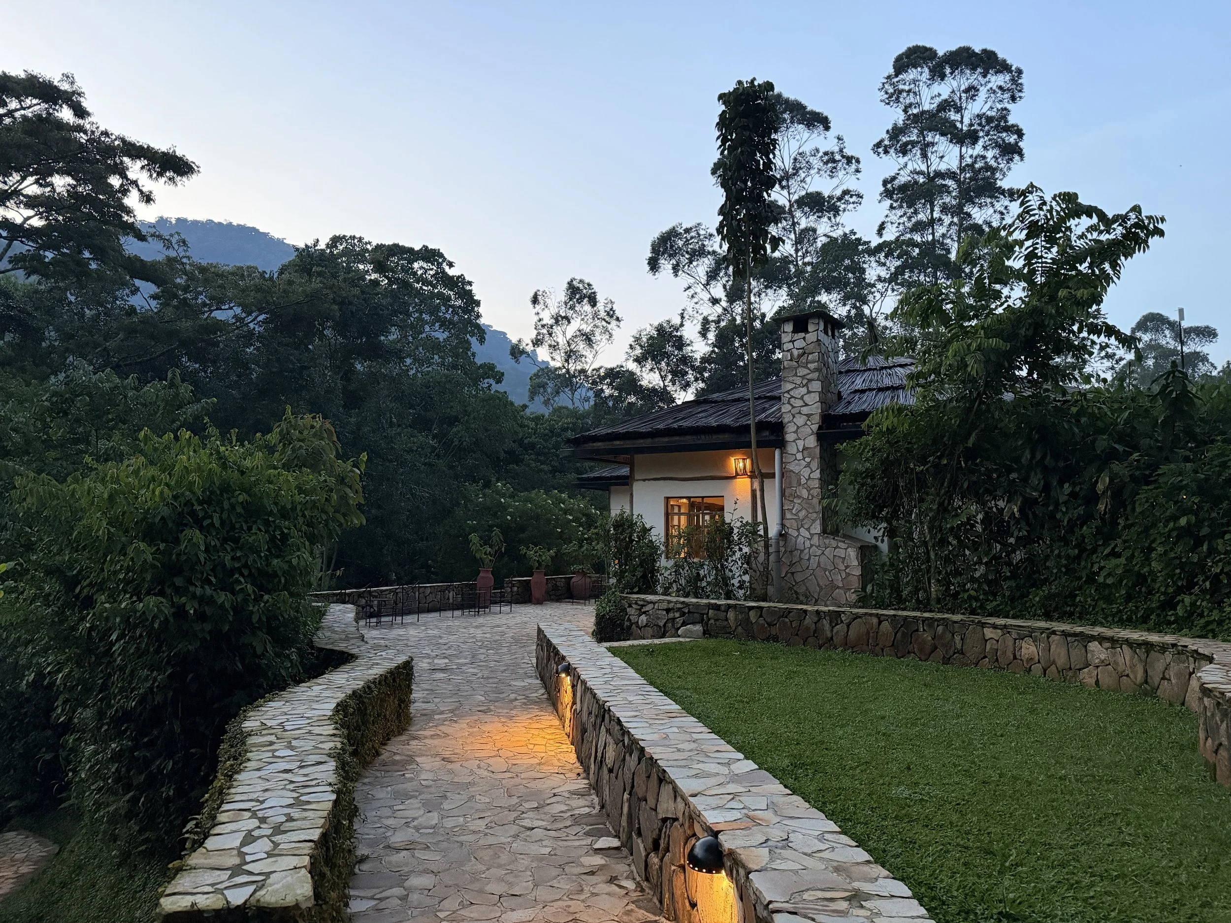 Bwindi Lodge, Uganda - Volcanoes Safaris