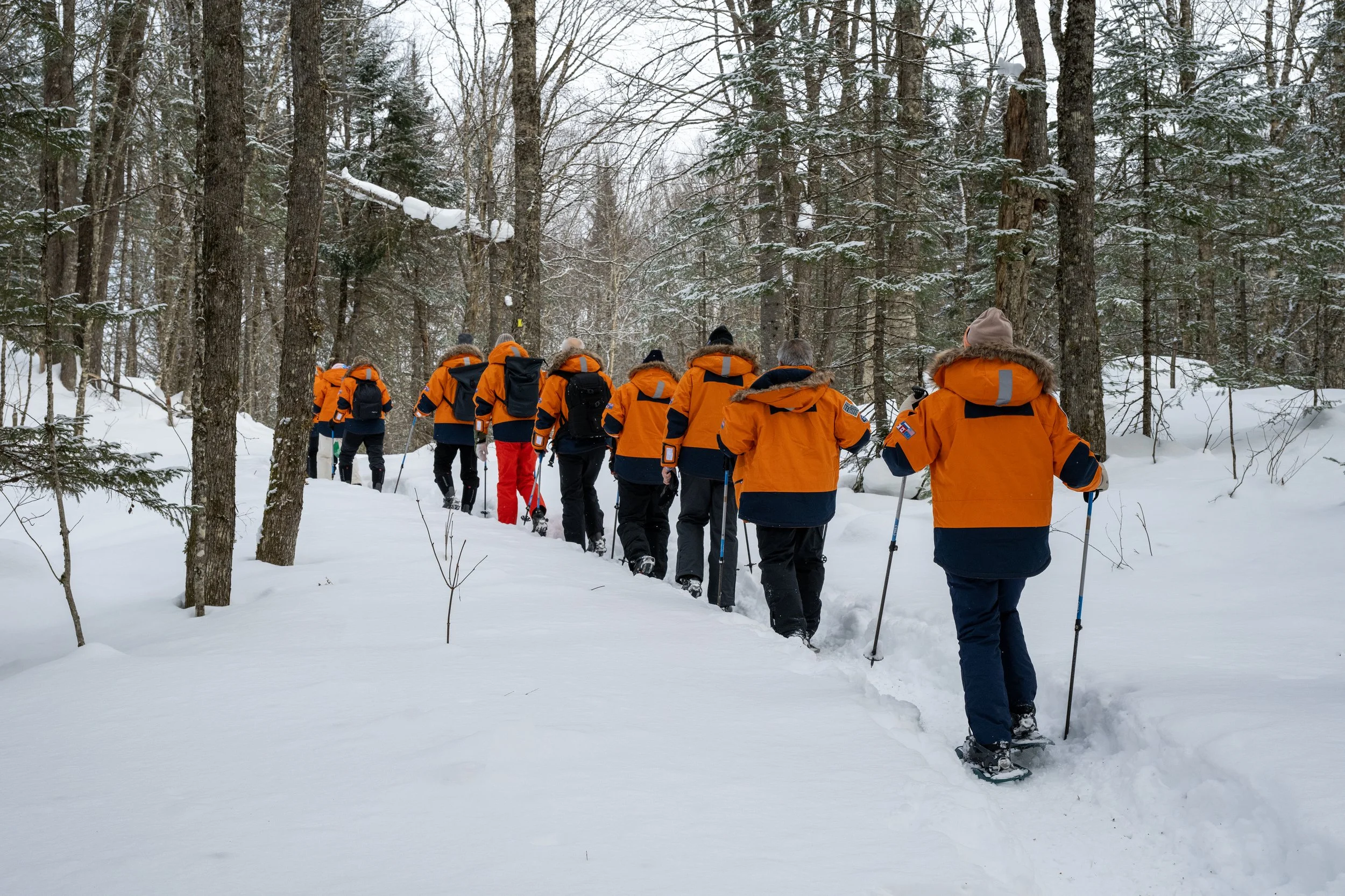 Snowshoeing in the Jacques Cartier National Park