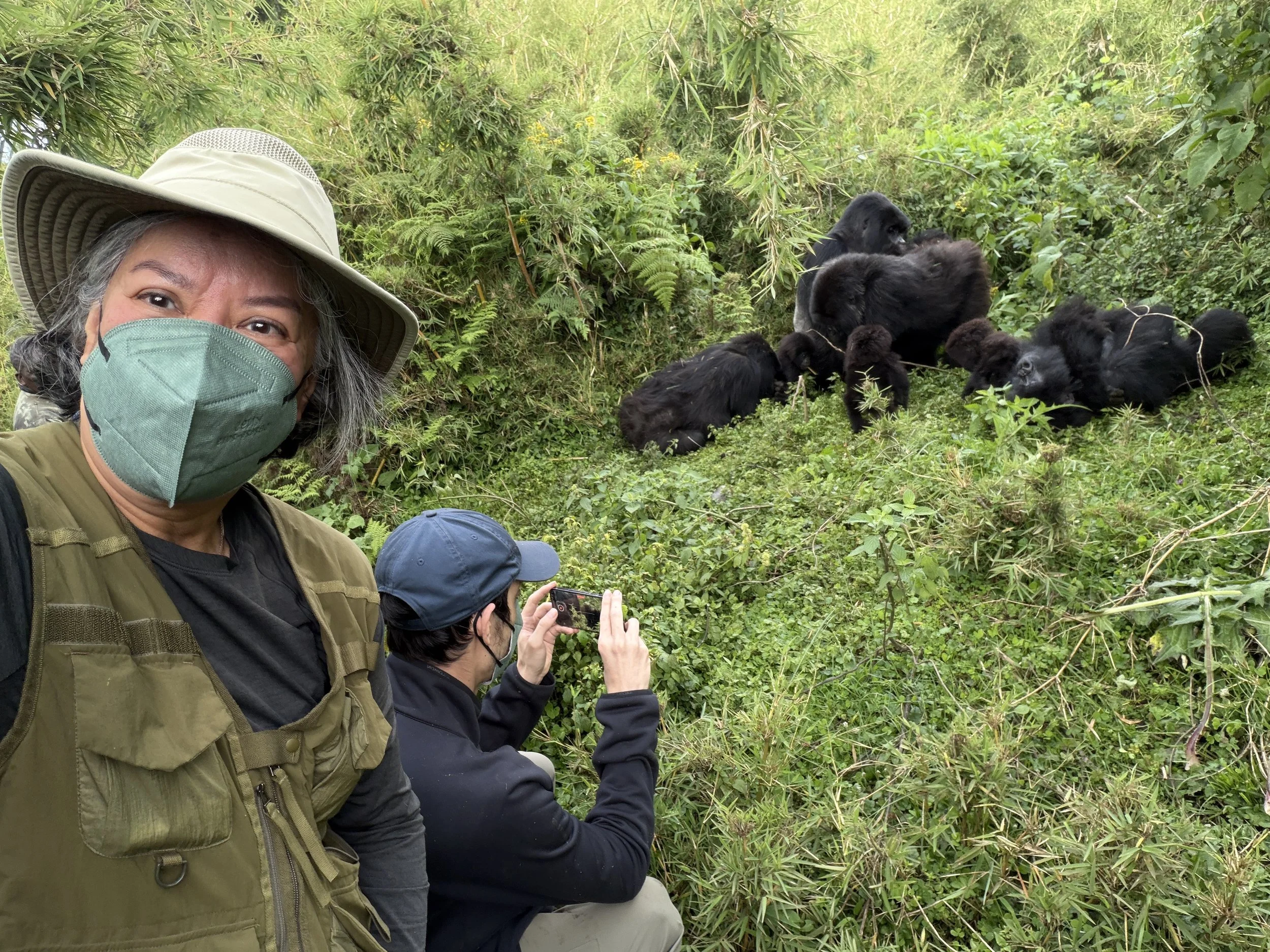 Rwanda GorillaTrekking VolcanoesNationalPark SavingGorillas TravelswithTesa.JPG