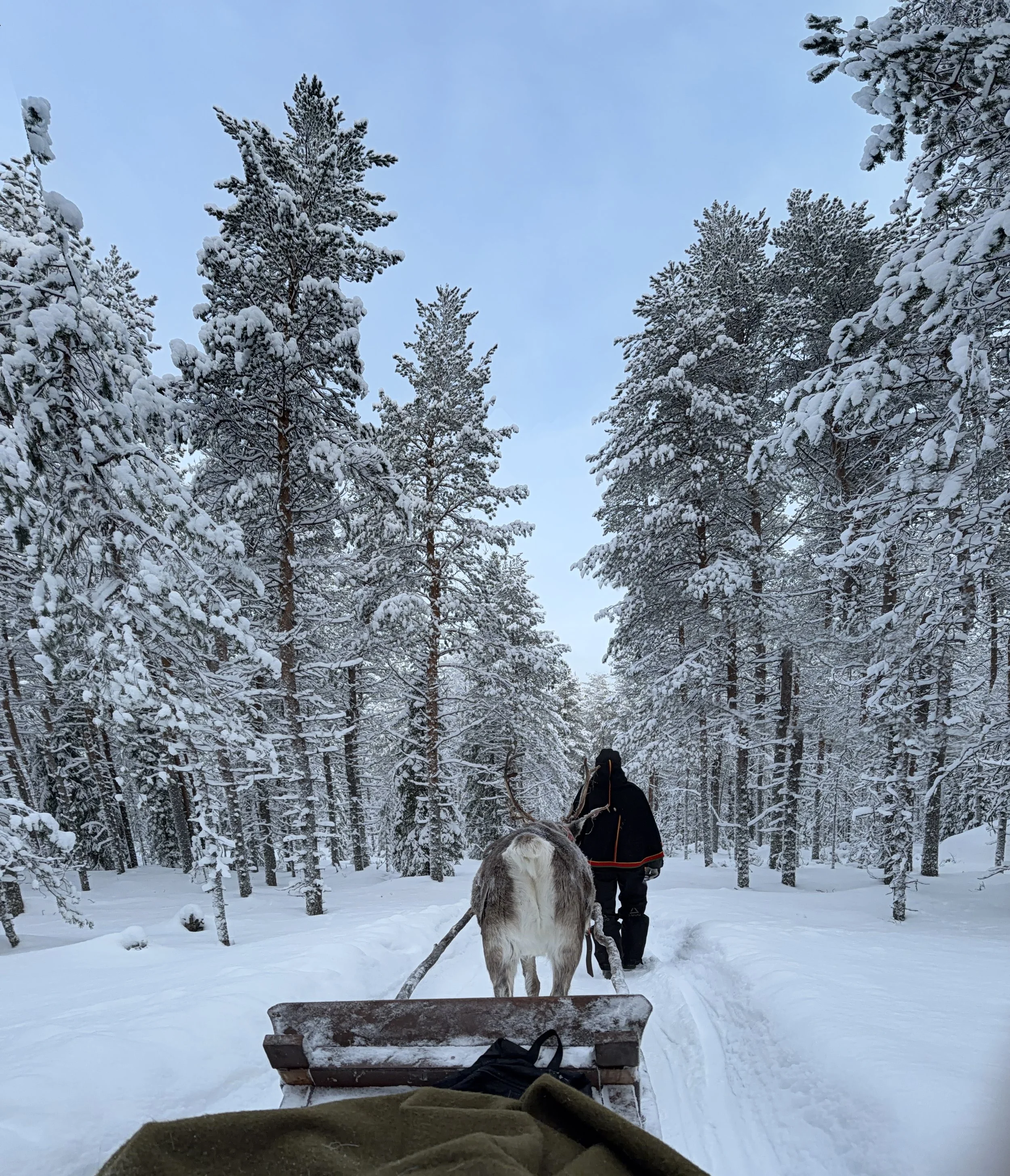 Finland Lapland Arctic TravelswithTesa.JPG