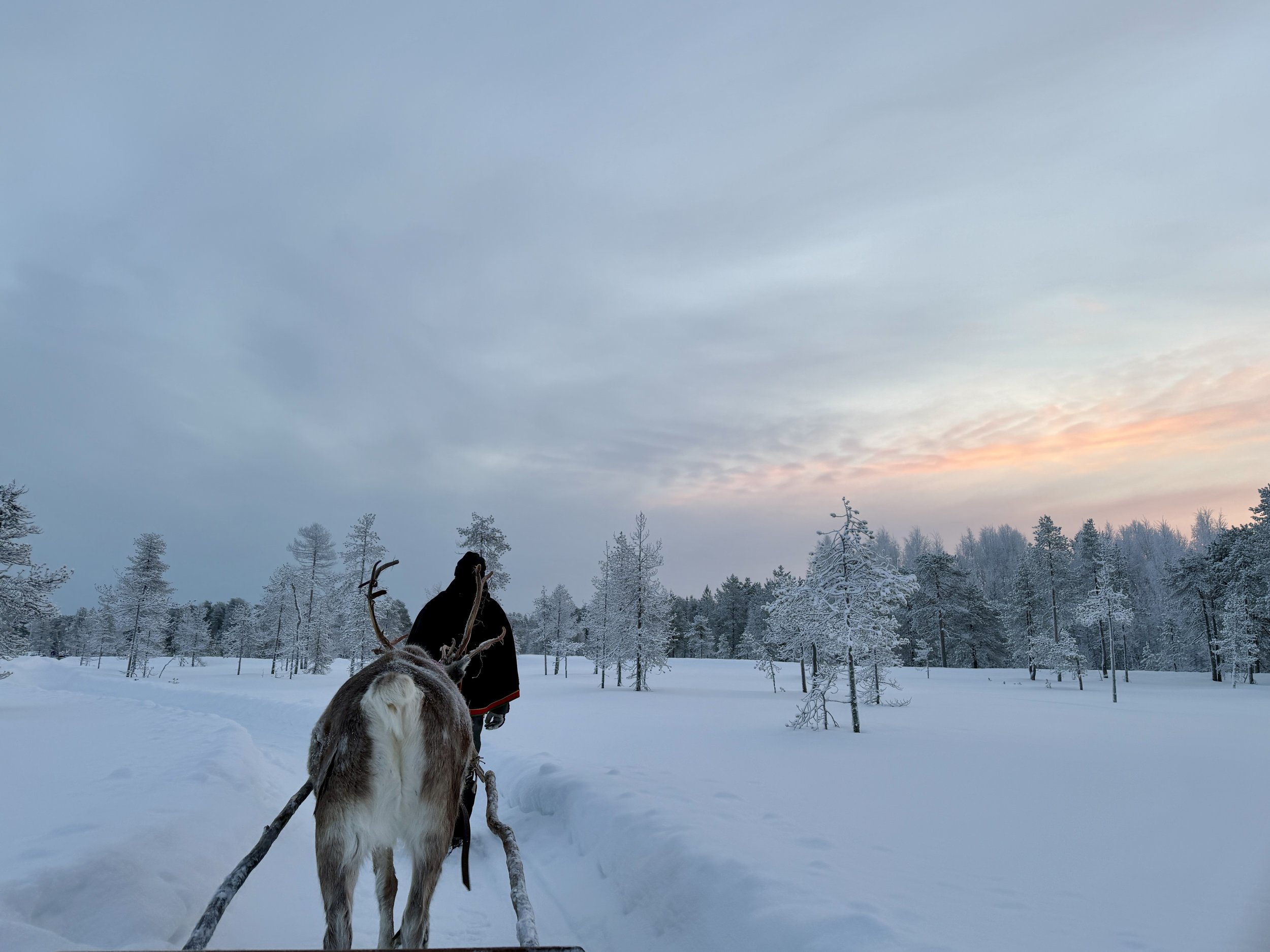 Lapland: Manifesting the Arctic
