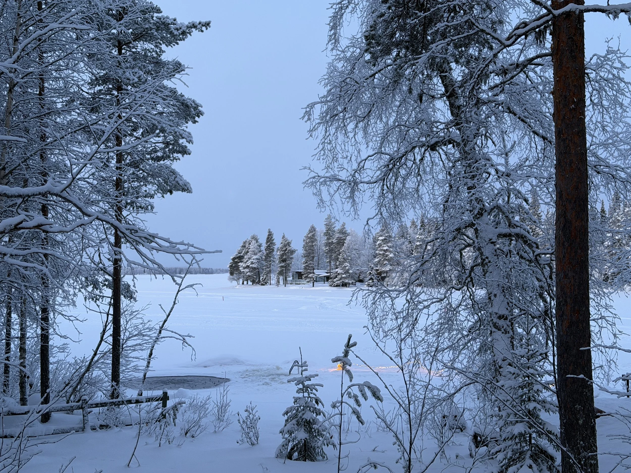 Finland Lapland Reindeer TravelswithTesa.JPG