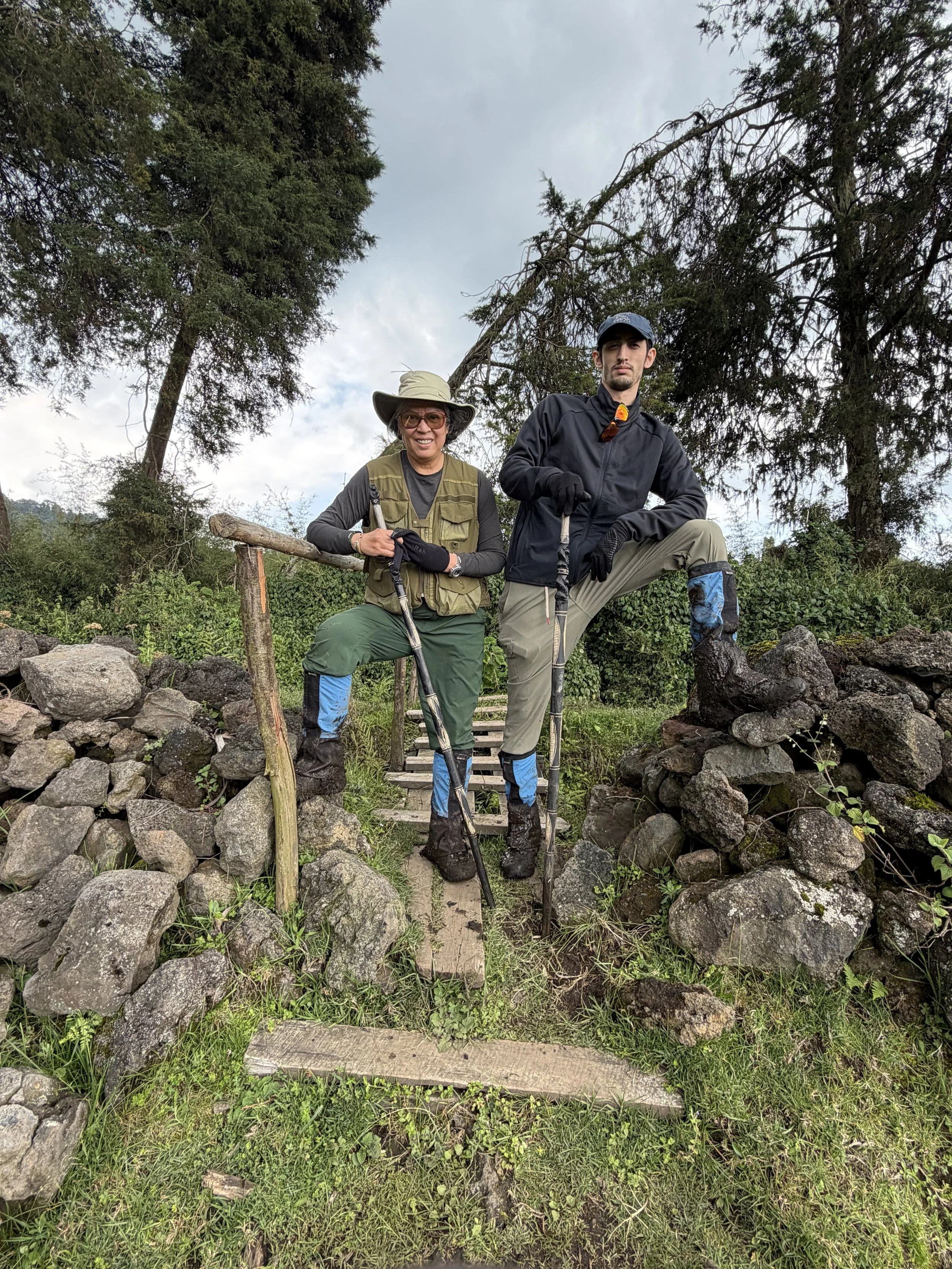 Rwanda GorillaTrekking VolcanoesNationalPark SavingGorillas TravelswithTesa.JPG