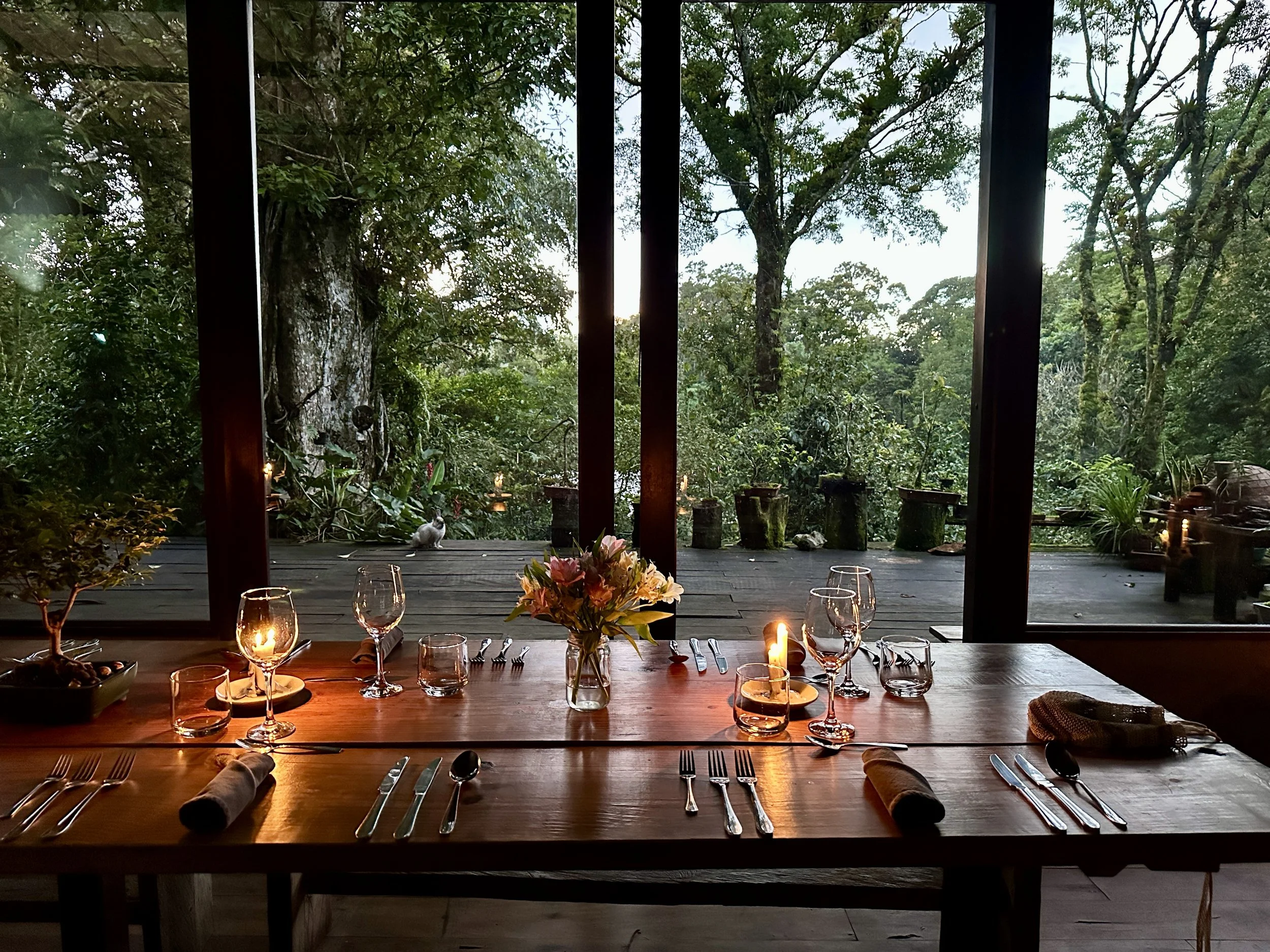 Panama’s Hidden Table: Hacienda Mamecillo in the Cloud Forest