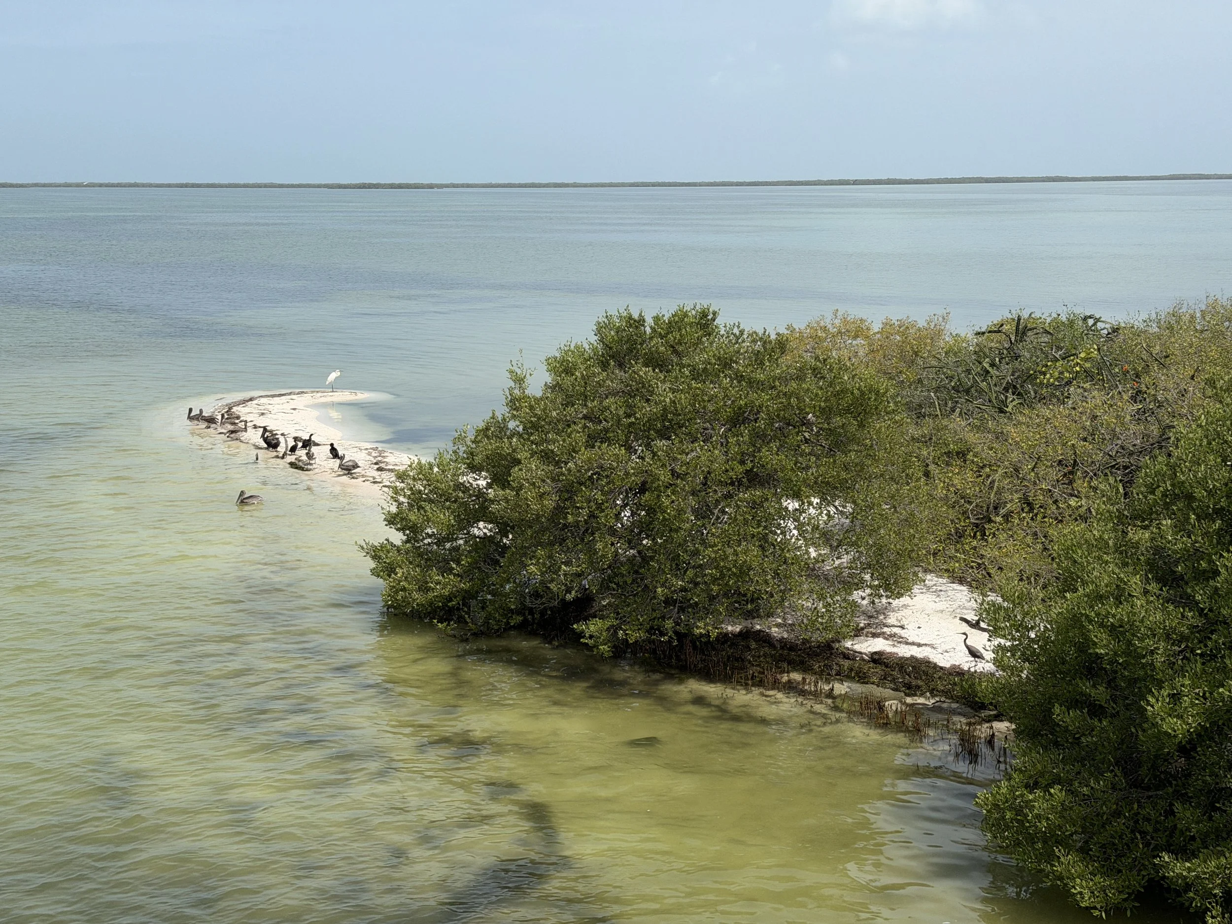Holbox Mexico TravelswithTesa.JPG
