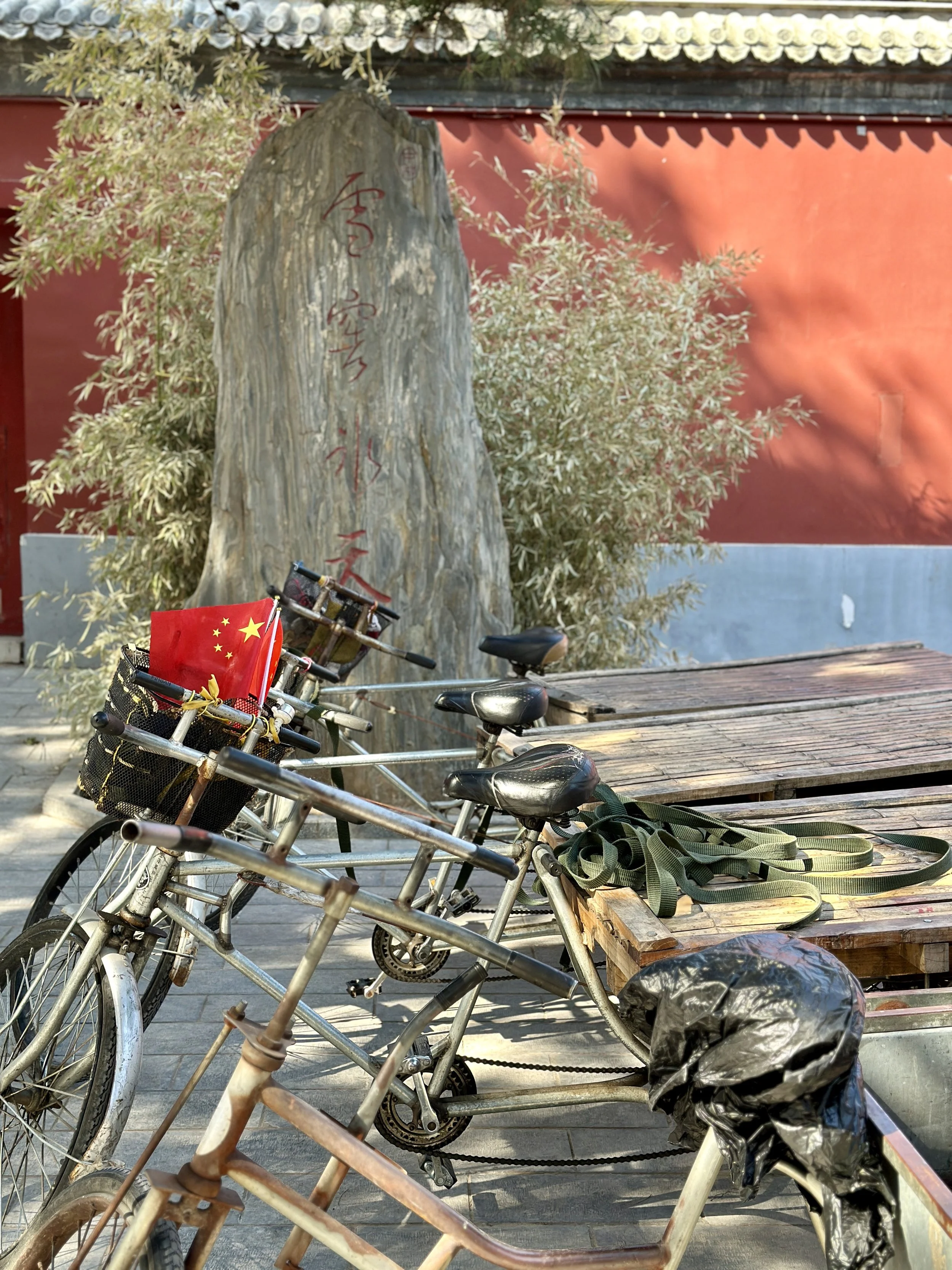 China Beijing TravelswithTesa ForbiddenCity.JPG