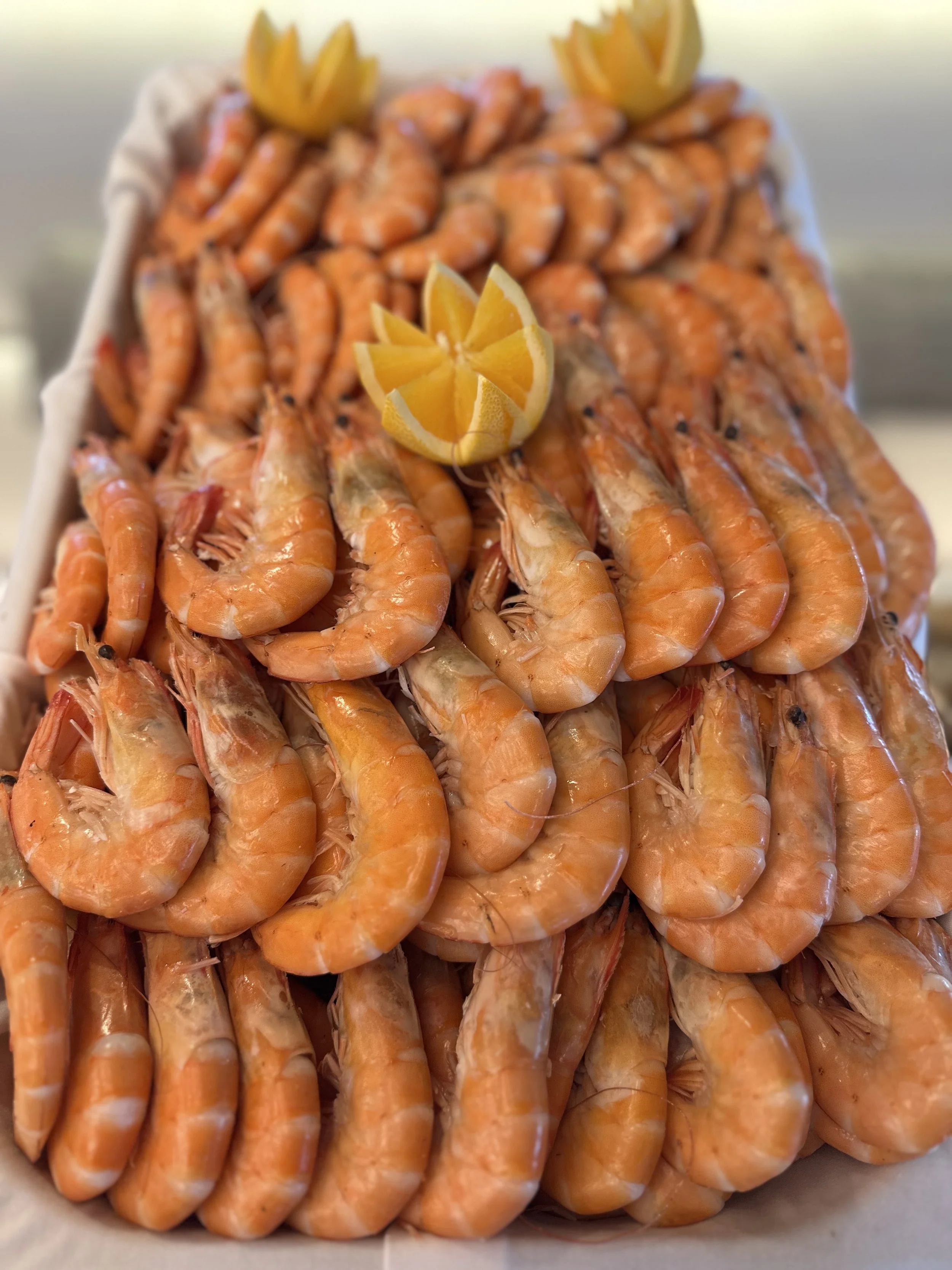 Ponant Le Commandant Charcot TravelswithTesa.JPG