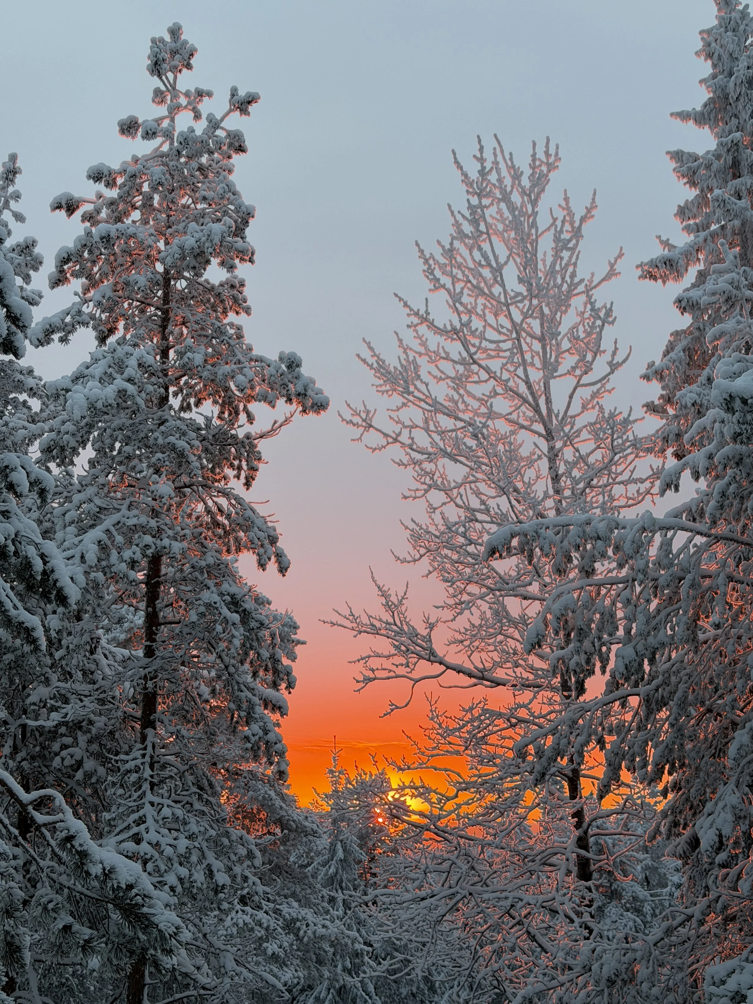 Finland Lapland Arctic TravelswithTesa Alpenglow.JPG