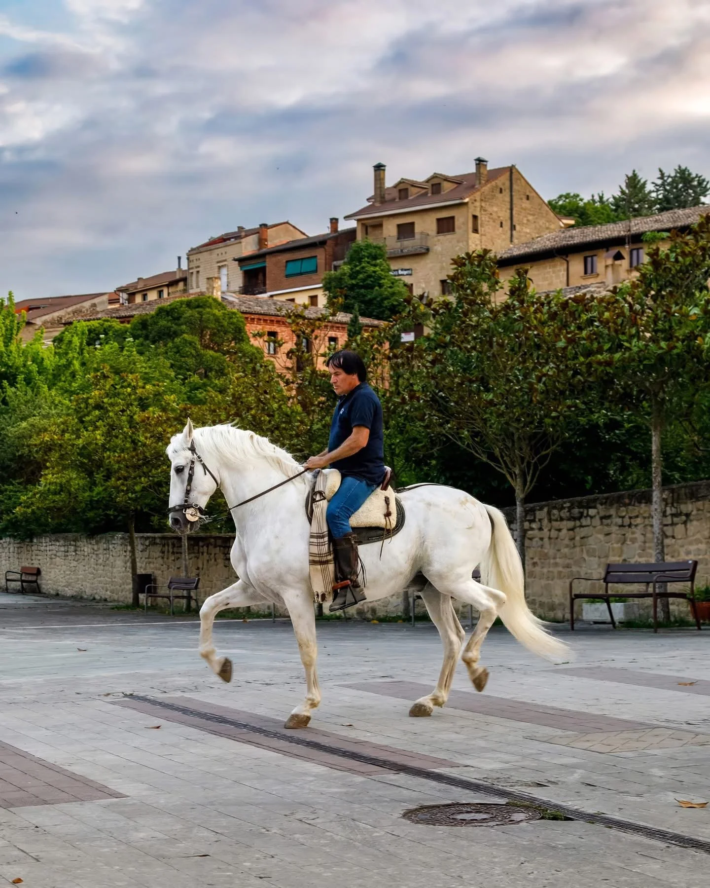 spain rioja horse travels with tesa.JPG