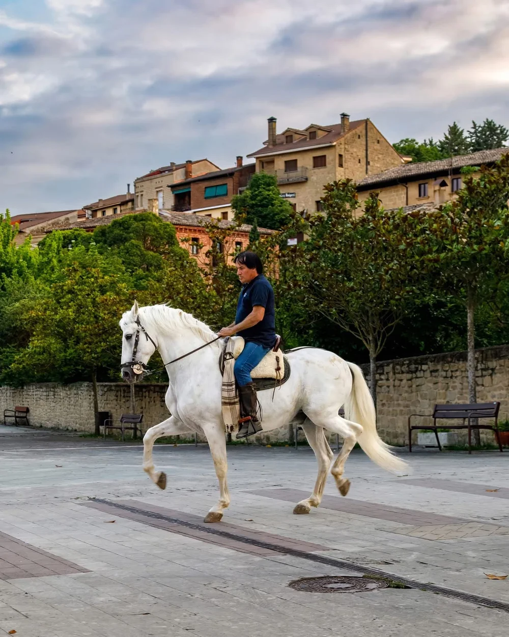 spain rioja horse travels with tesa.JPG