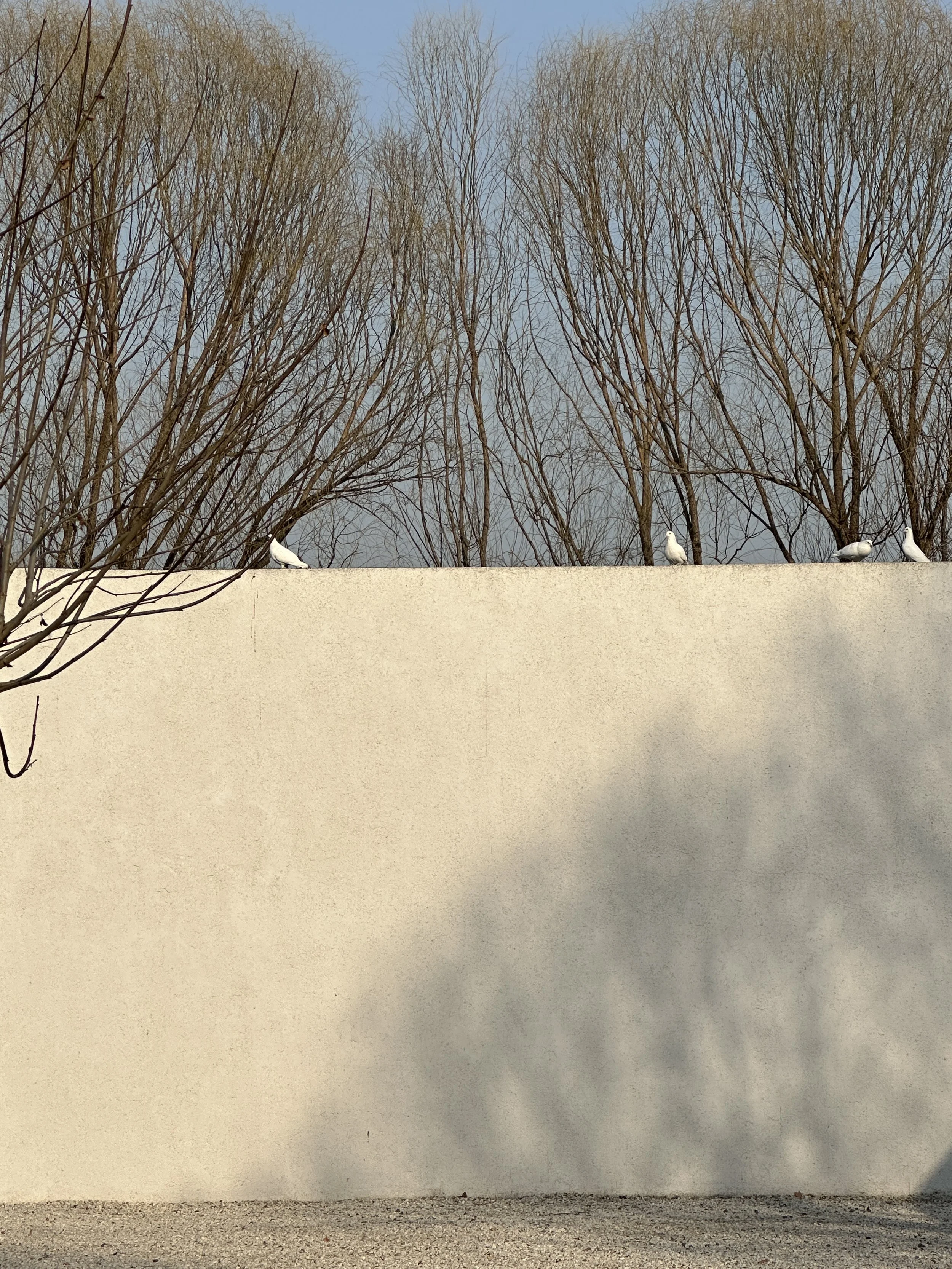 China Beijing TravelswithTesa.JPG