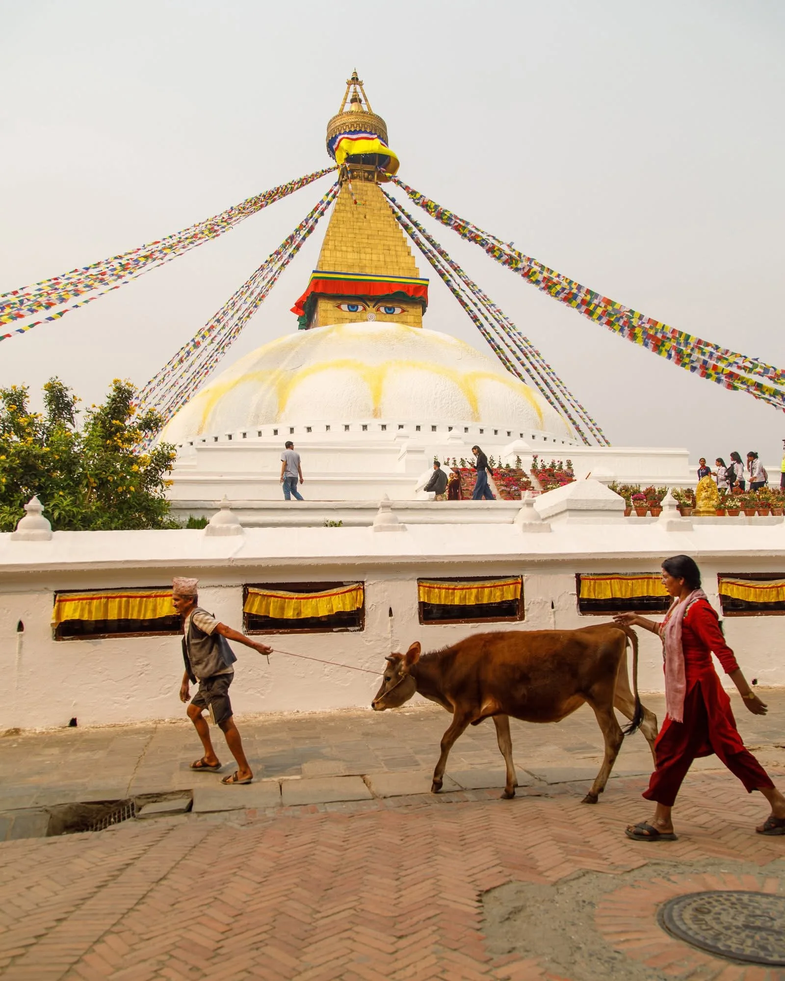Boudhanath Kathmandu Nepal.JPG