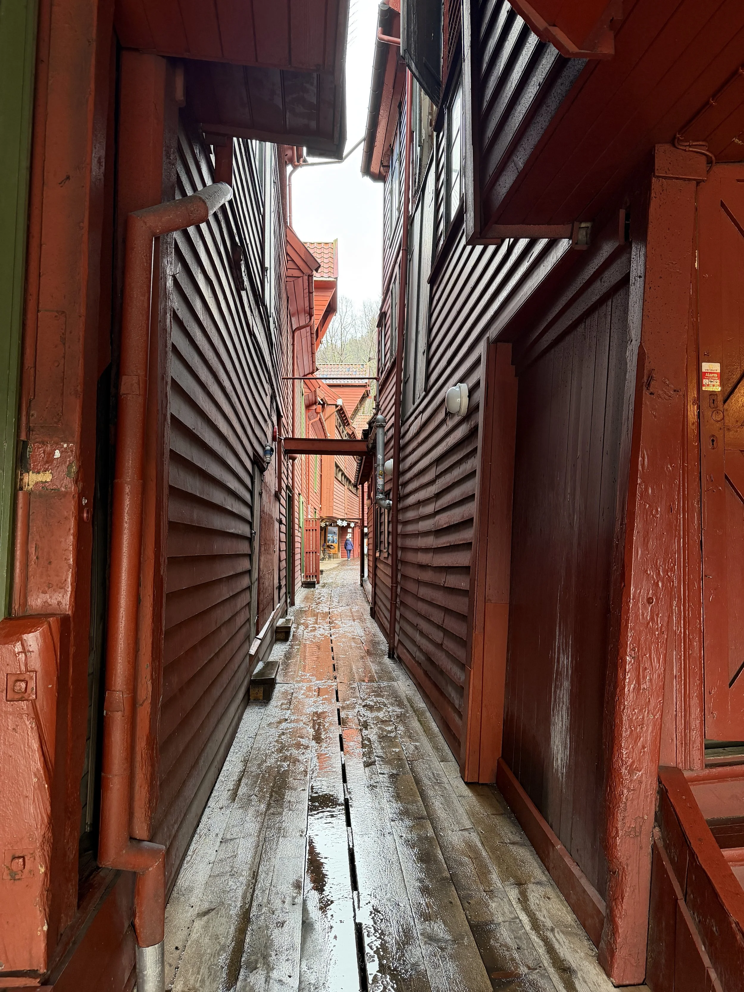 Bergen Norway TravelswithTesa.JPG