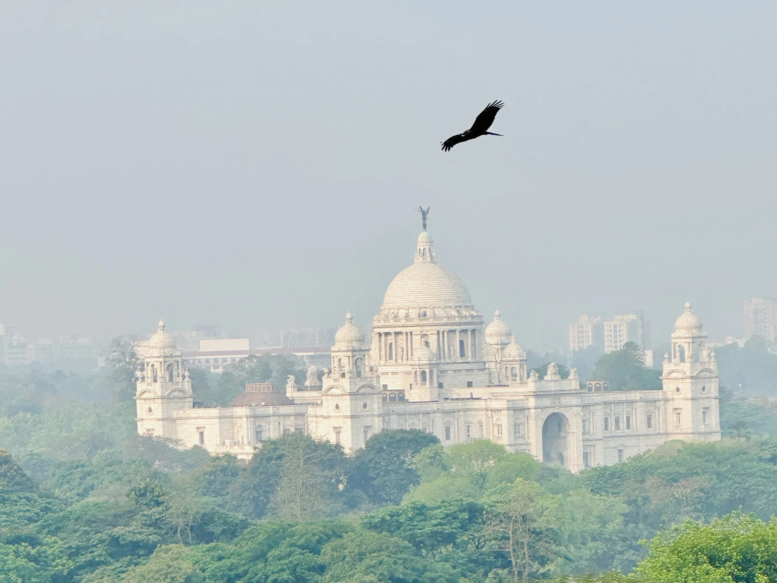 Kolkata Called—And I Said Yes