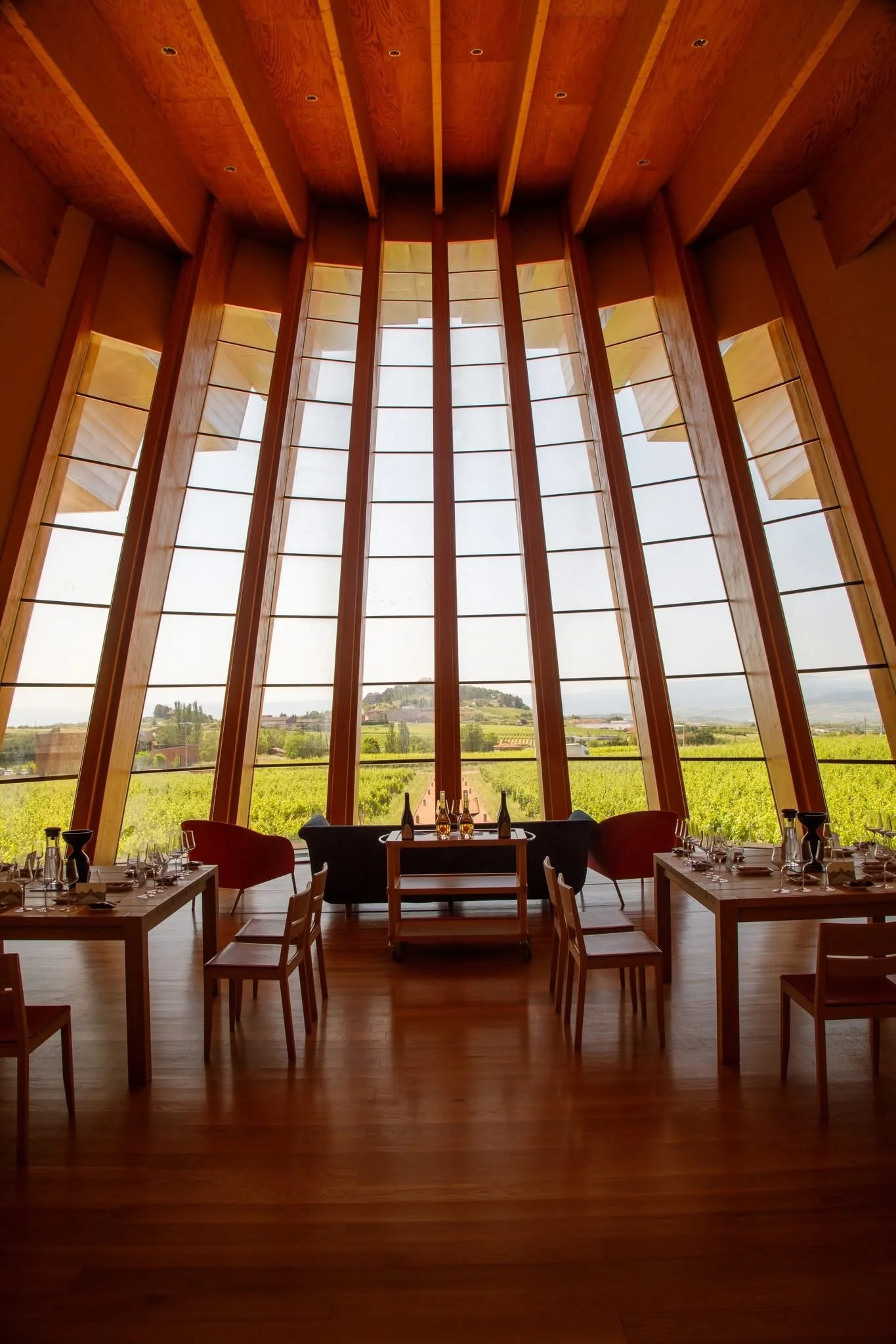 spain-basque-rioja-alavesa-ysios-santiago-calatrava-travels-with-tesa.JPG