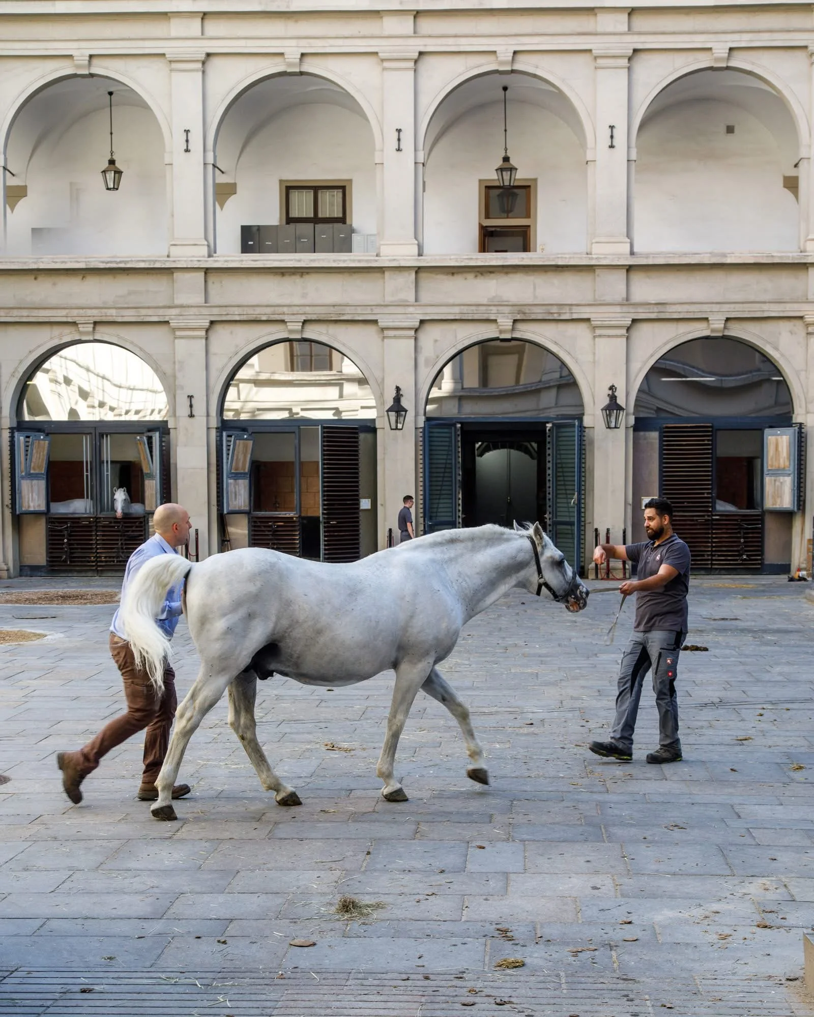 Spanish Riding School, Vienna