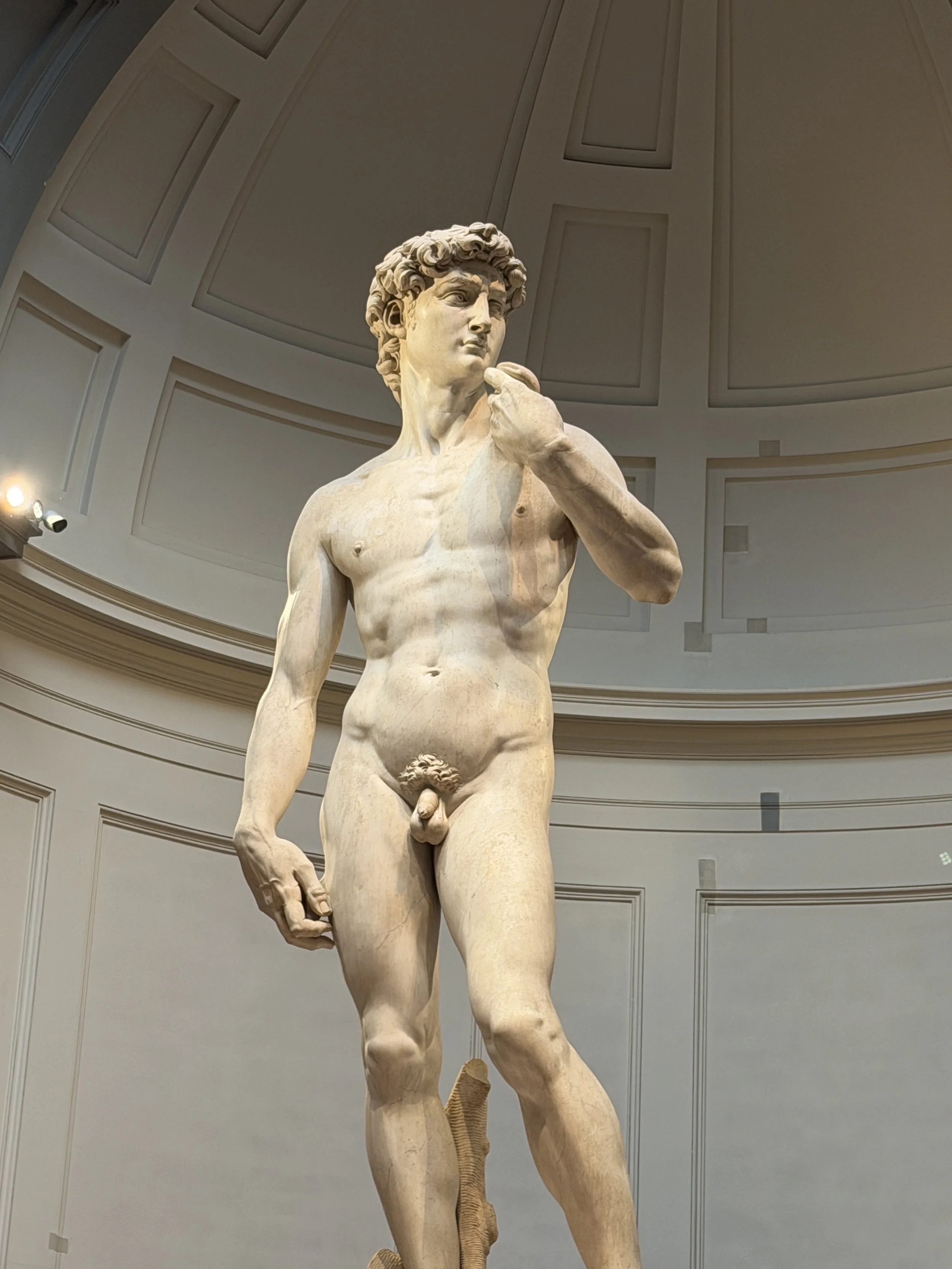 Florence TravelswithTesa.JPG