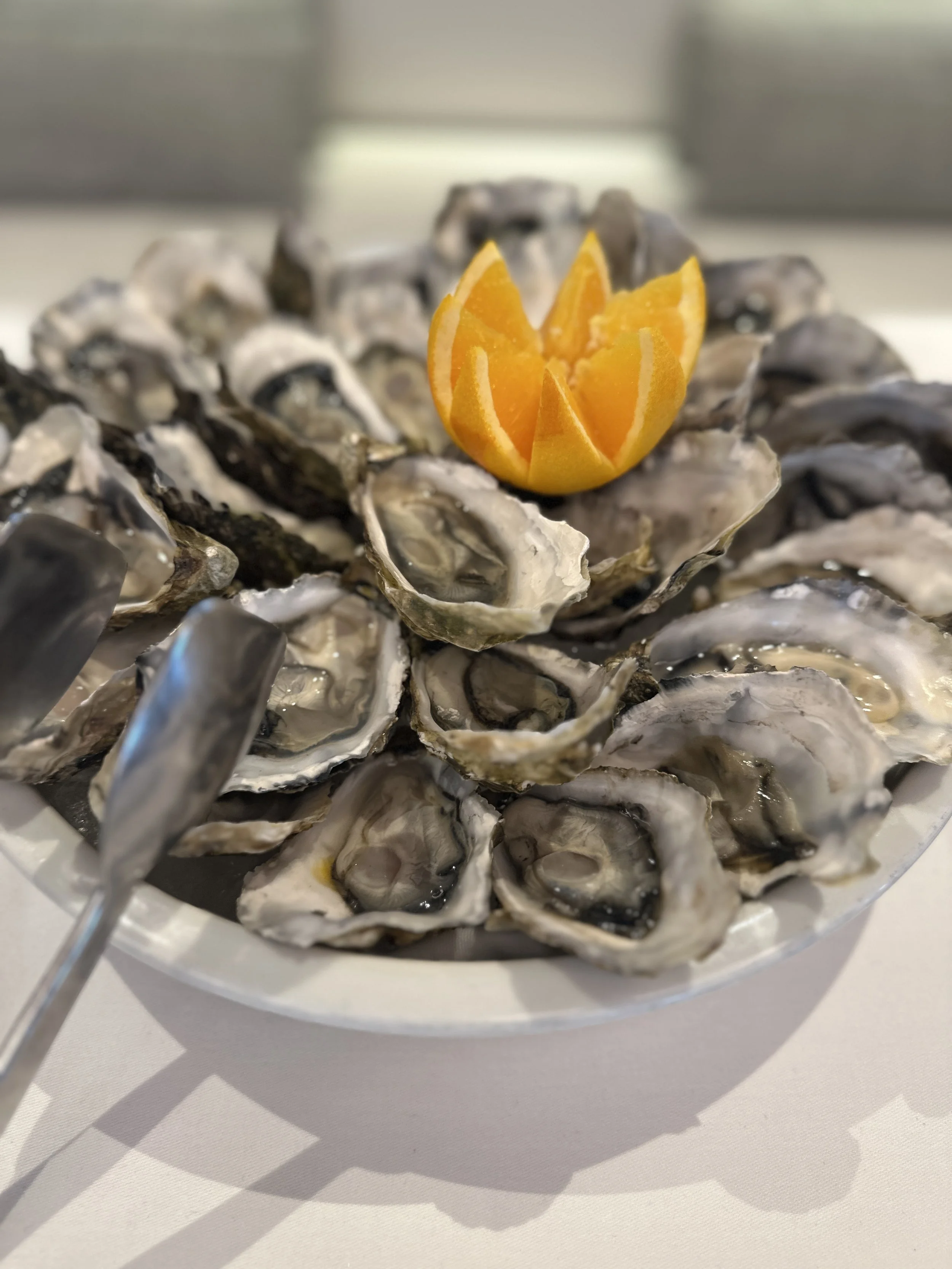 Ponant Le Commandant Charcot TravelswithTesa.JPG