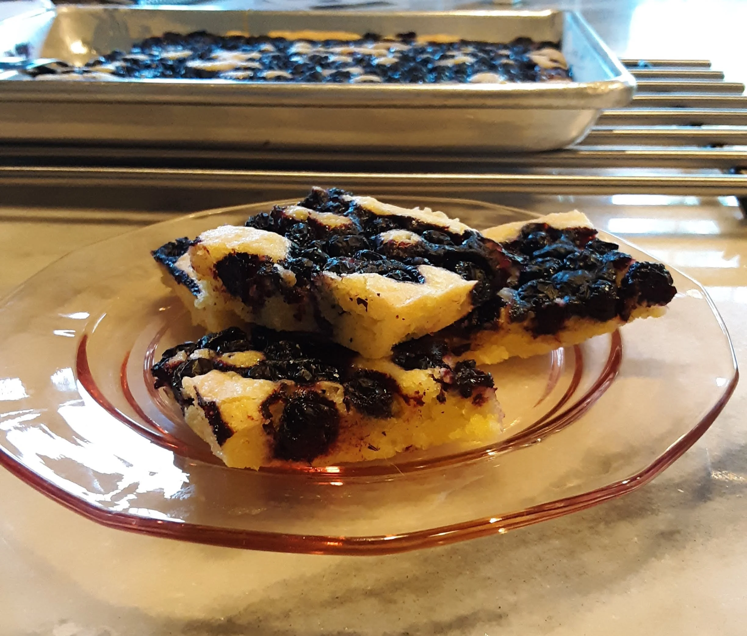 Aronia Berry Bars — Homestead Aronia