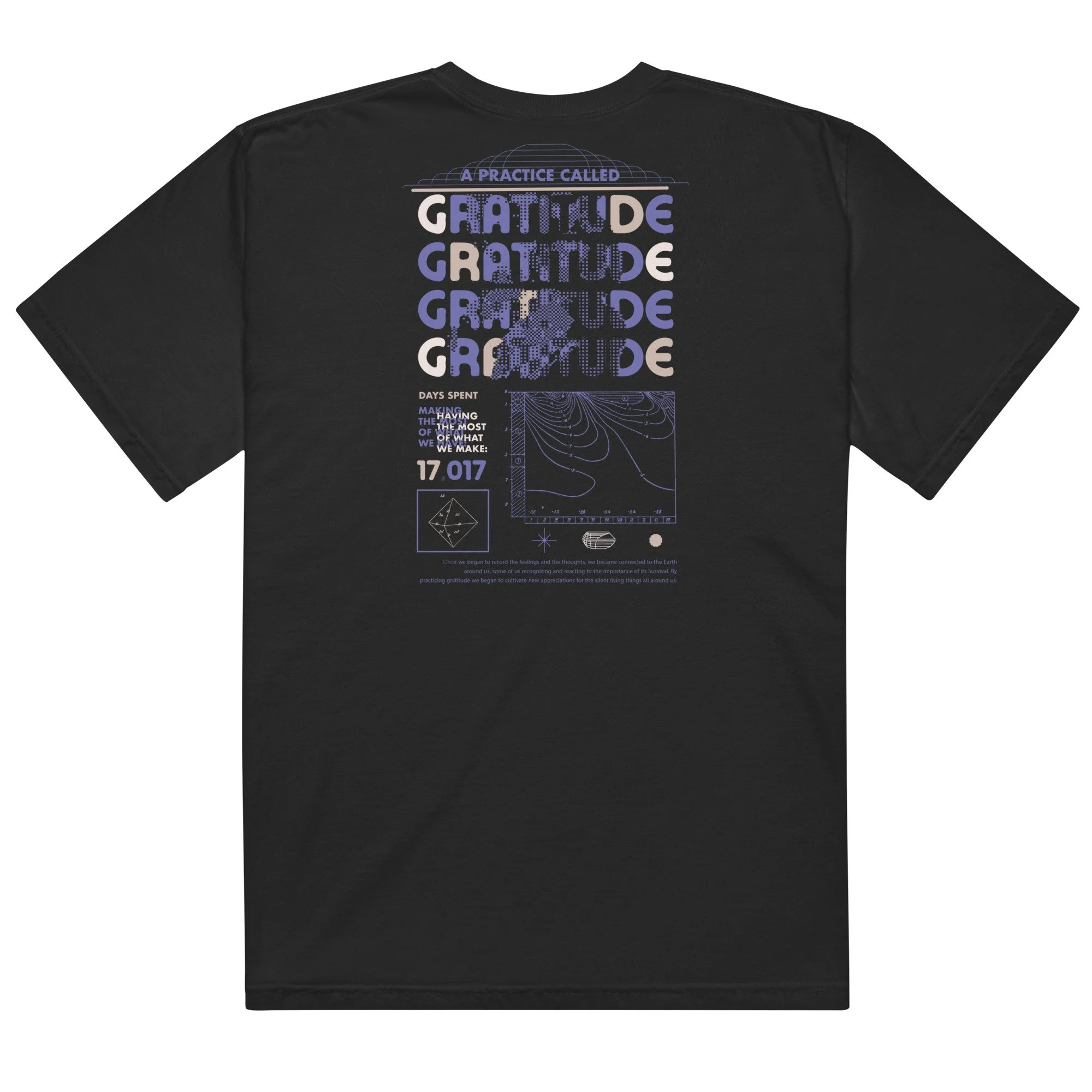Gratitude Tee