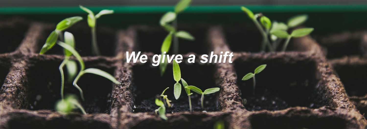 SG Partners Testimonials.PNG