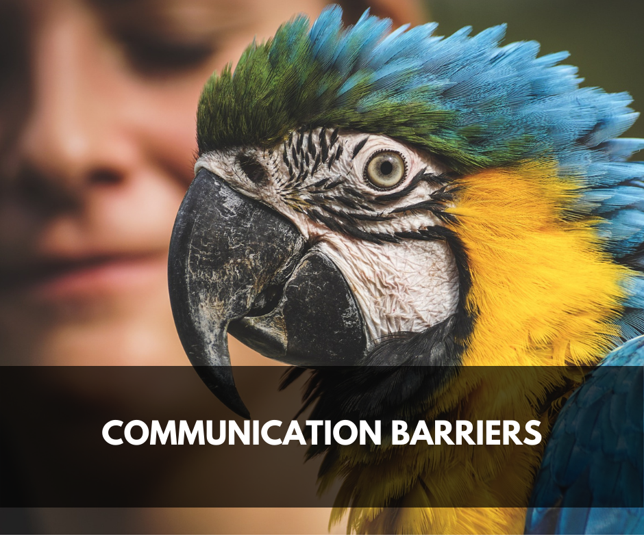 Communication Barriers
