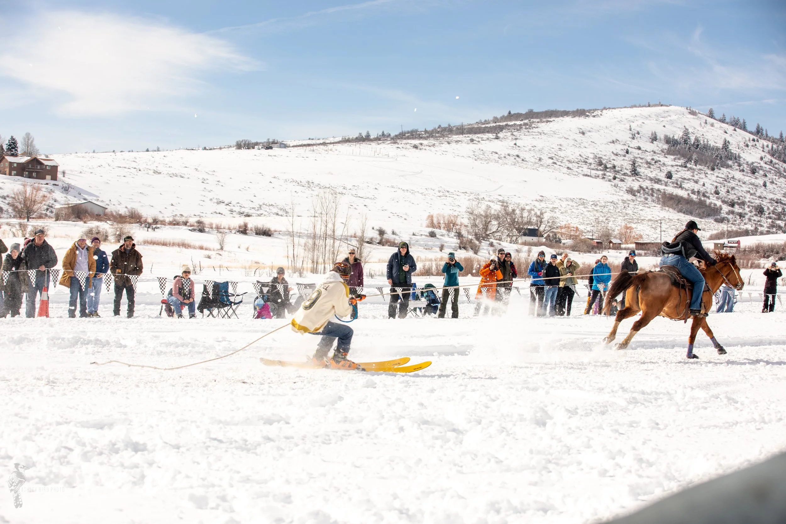 SaturdaySkijoringTheBear25--76.jpg
