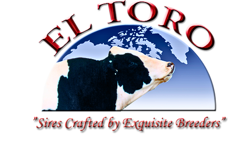 EL TORO SIRES INC
