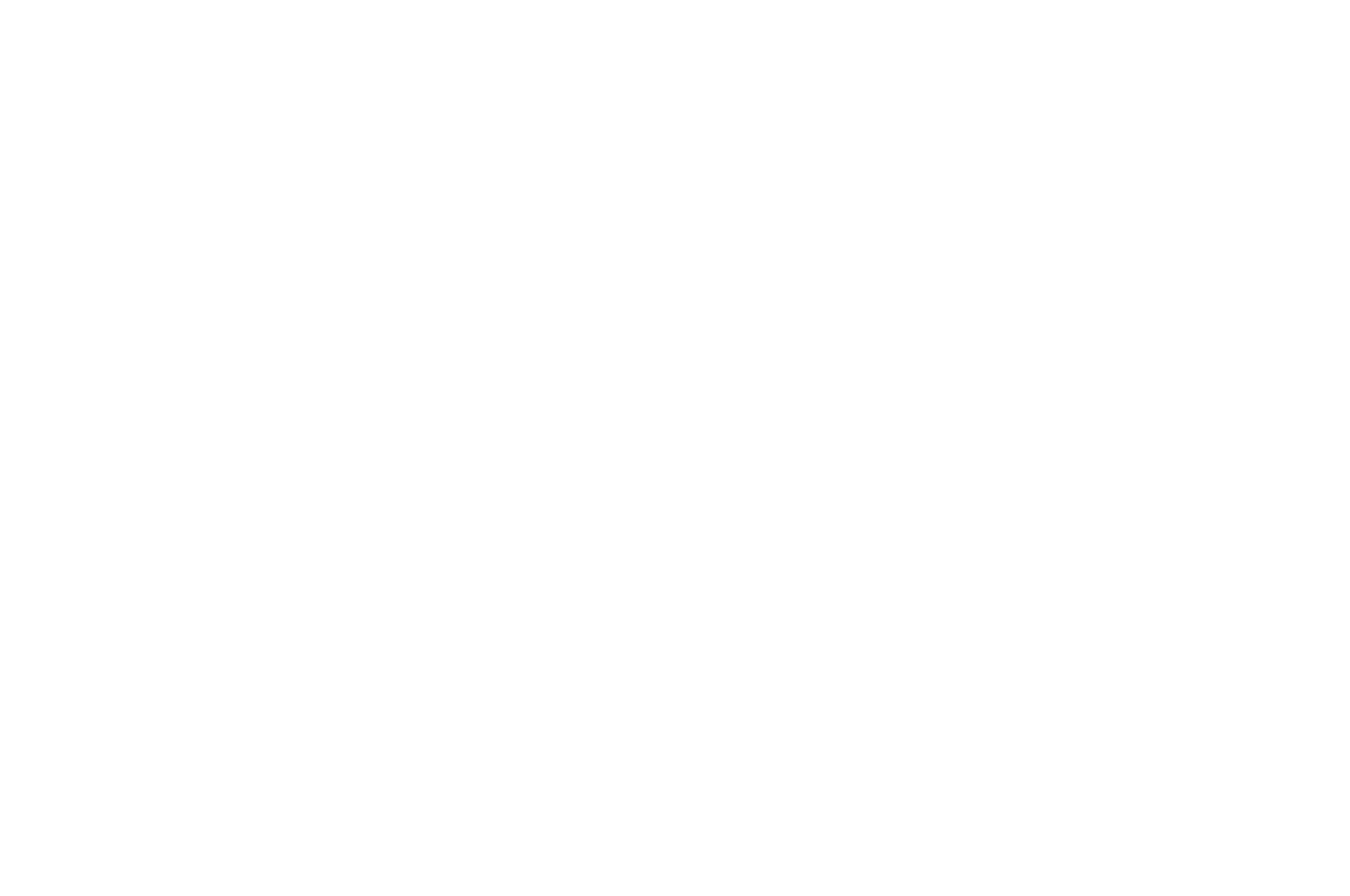 OFFICIAL SELECTION - The Macoproject Film Festival - 2021 copy.png