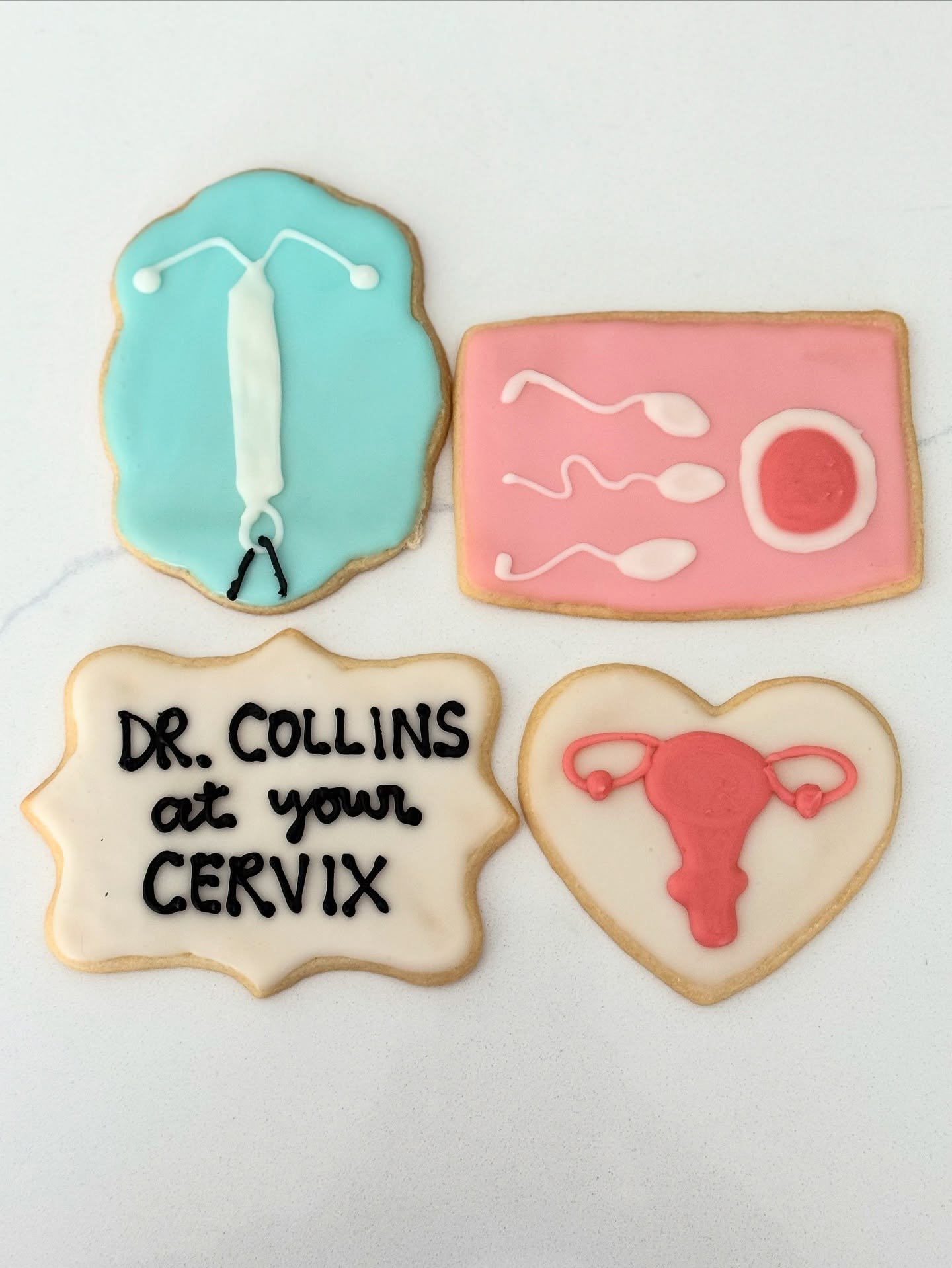 Dr. Collins at your cervix
.
.
.
.
.
#cervix #obgyn #obgynlife #sugarcookiesofinstagram #sugarcookiedecorator #sugarcookie #sugarcookies #sugarcookiedecorating #cookies #cookie #cookieoftheday #cookiesofinsta #cookiesofig #supportlocal #supportsmallb