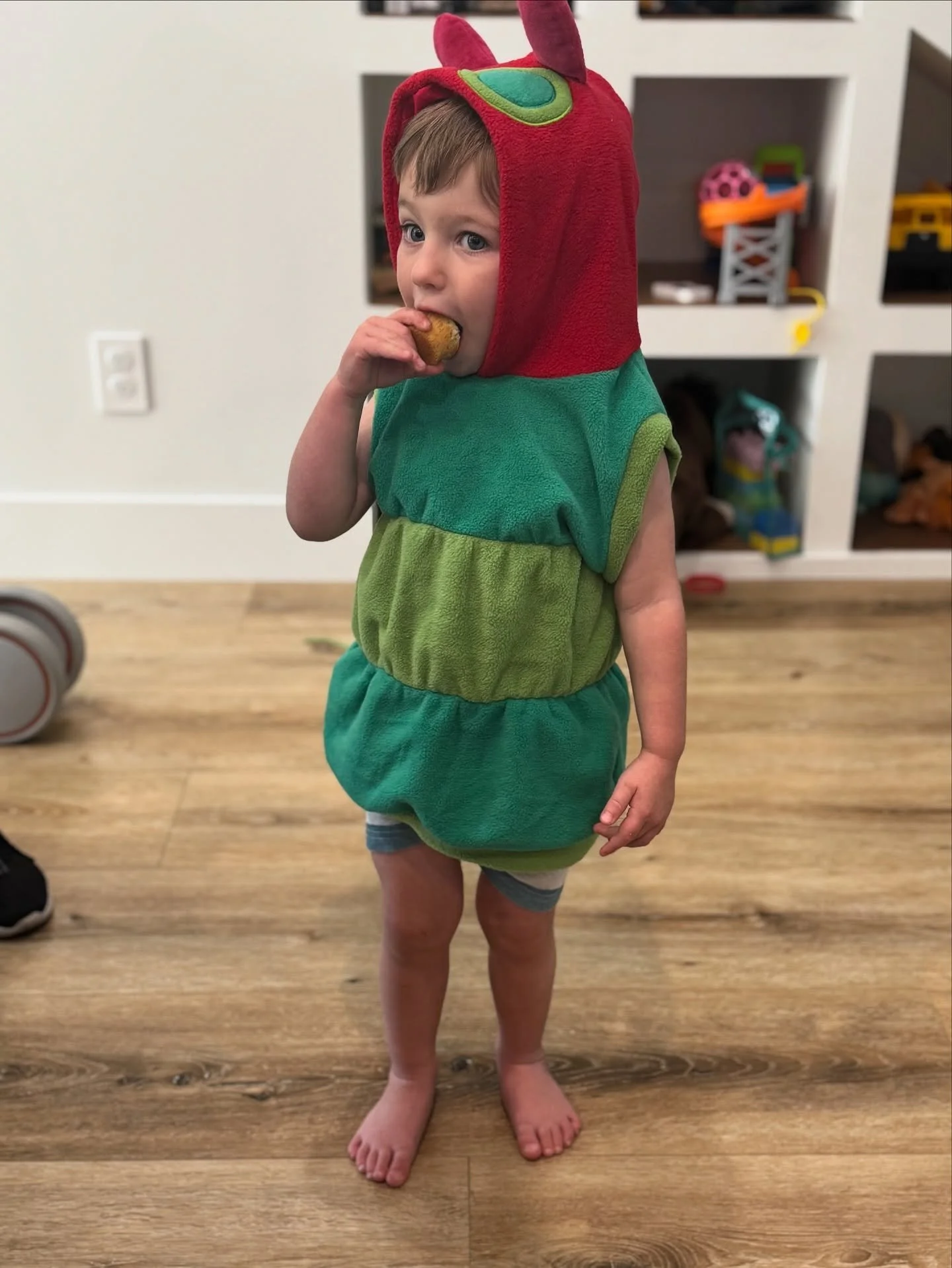 Happy Halloween from The Very Hungry Callumpillar who ate through 2 mini cupcakes and was STILL hungry! 🐛🧁🧁
.
.
.
.
.
#veryhungrycaterpillar #happyhalloween #happyhalloween🎃👻 #minicupcakes #minicupcake #supportlocal #supportsmallbusiness #elsegu