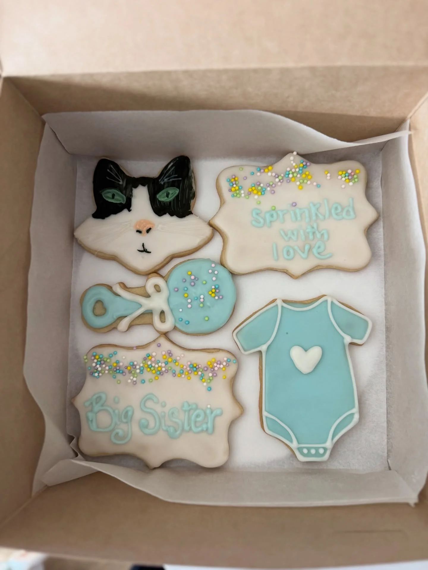 Sprinkled with Love
.
.
.
.
.
#babysprinkle #sugarcookiesofinstagram #sugarcookie #babyshower #cookie