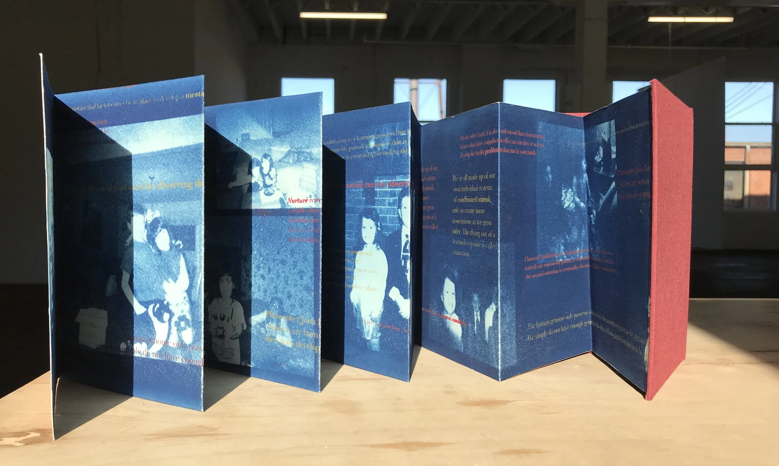    Nature VS Nurture Duology (Nurture)    Case-bound accordion, silkscreen, cyanotype   2019 