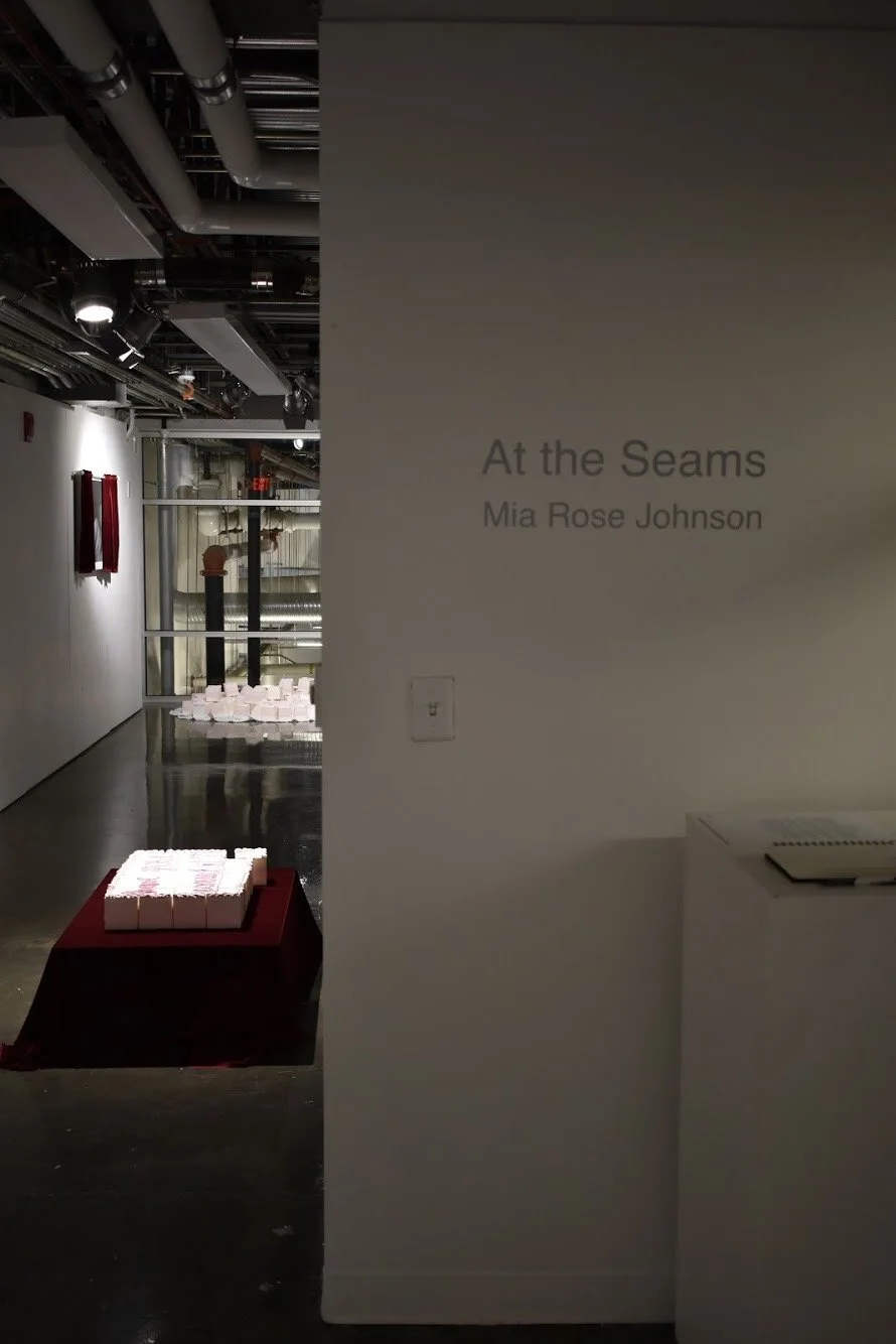    At the Seams:   BFA Thesis Exhibition   2019 