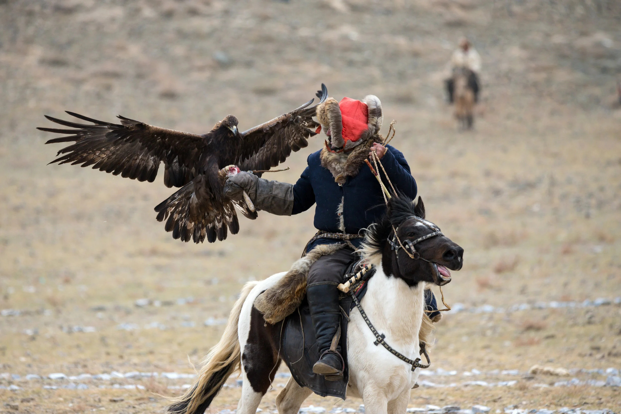 One of the games played at the Altai Festival where the hunter must call his Eagle to his hand