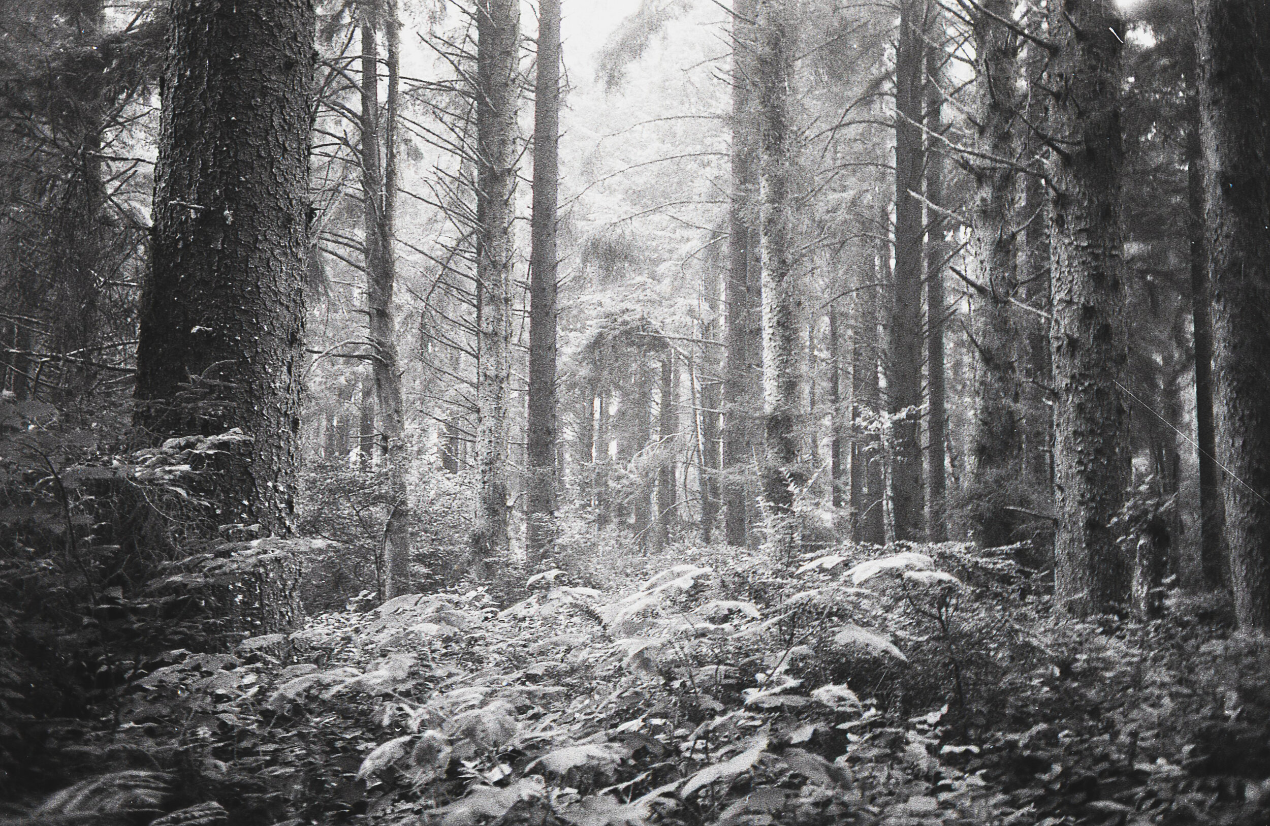 img007.jpg