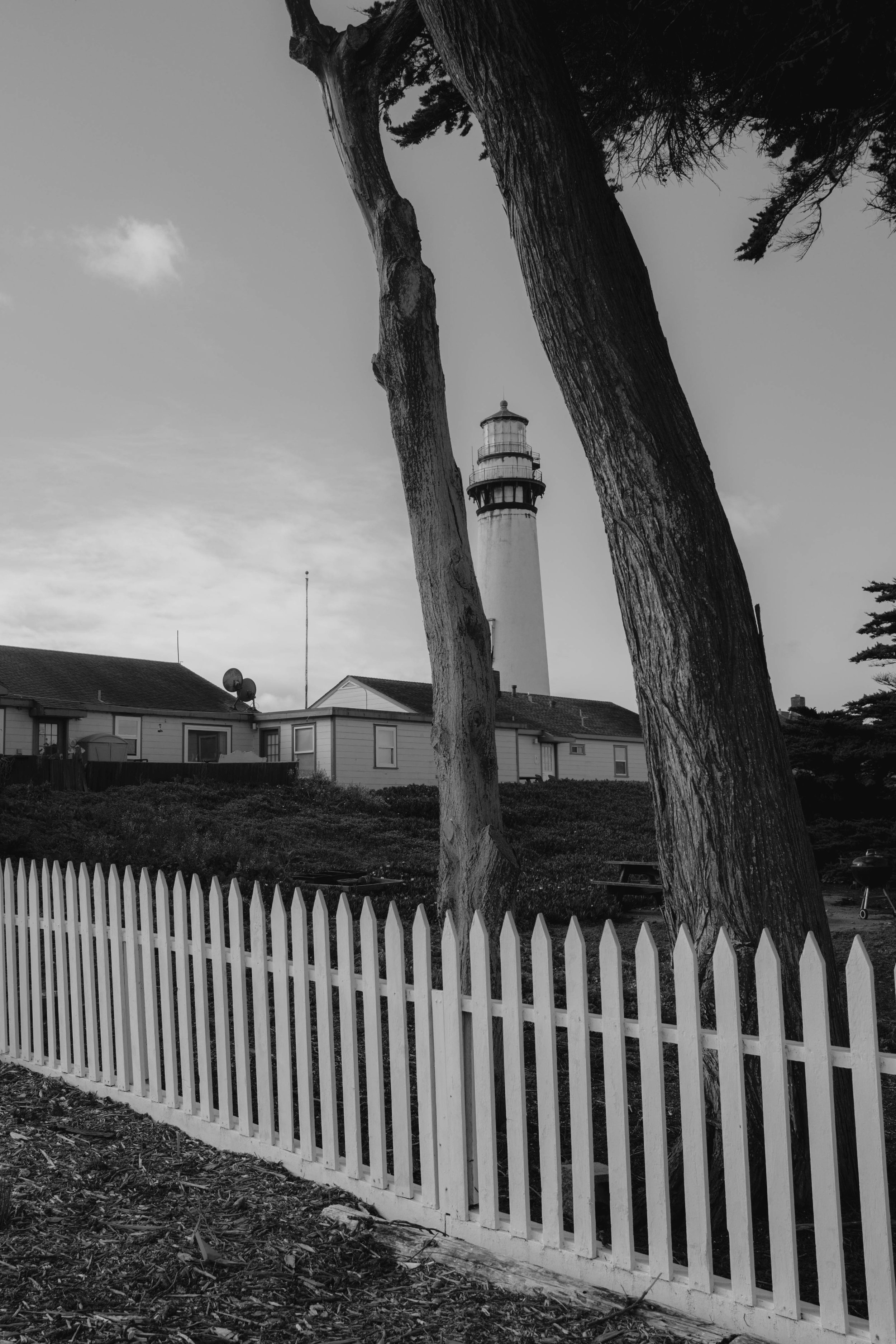 L1000975.jpg