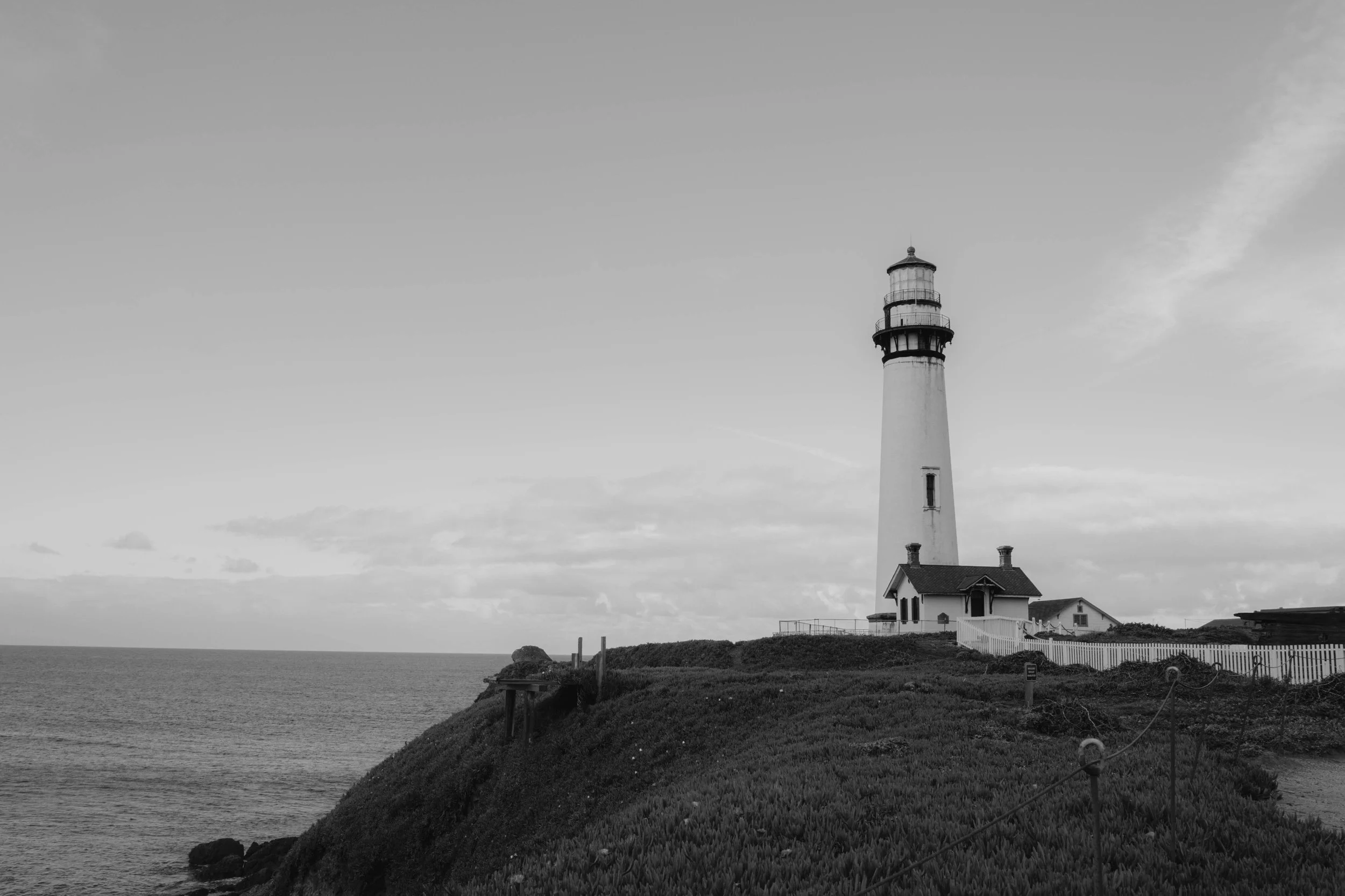 LOST!? - Santa Cruz
