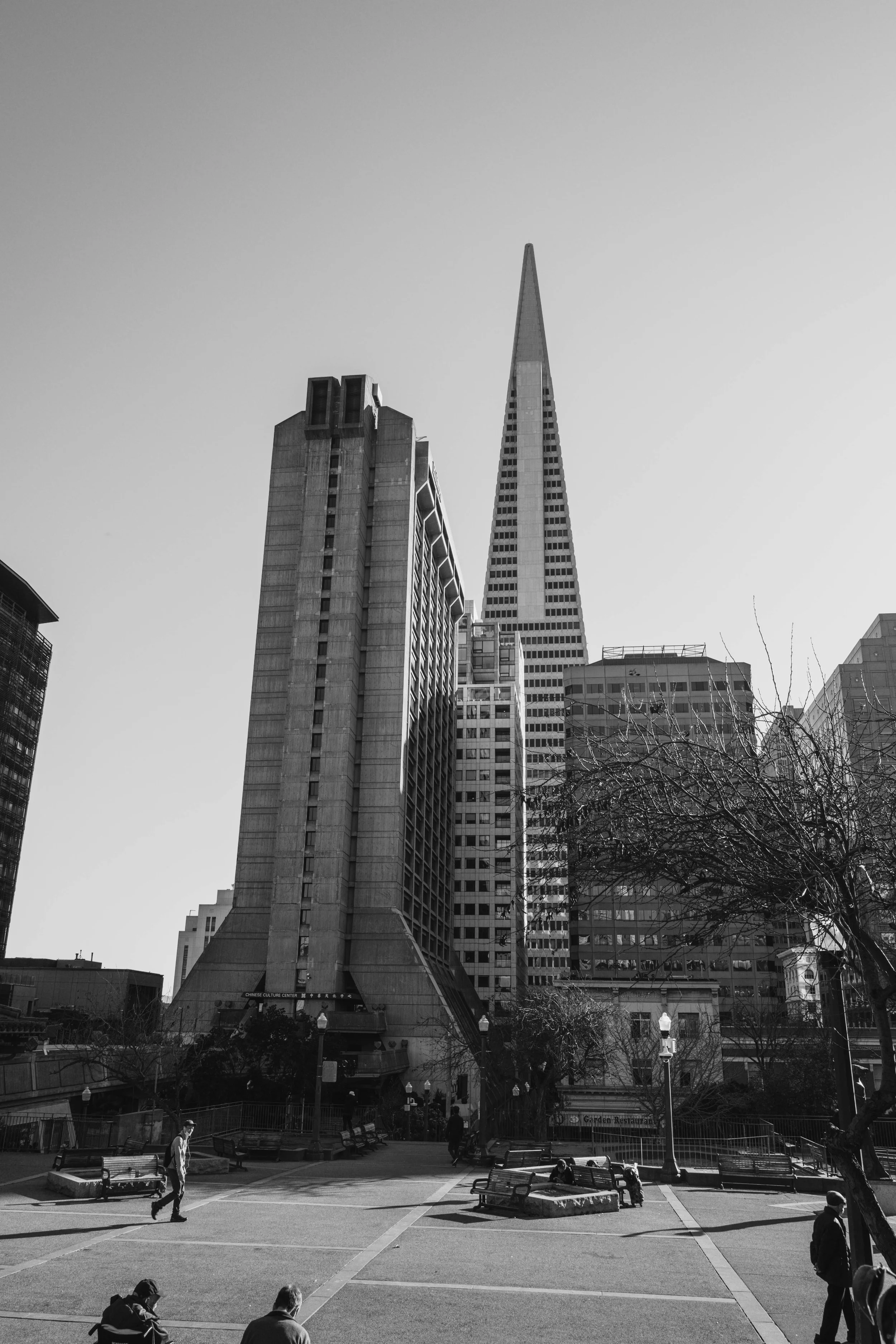 L1030317.jpg