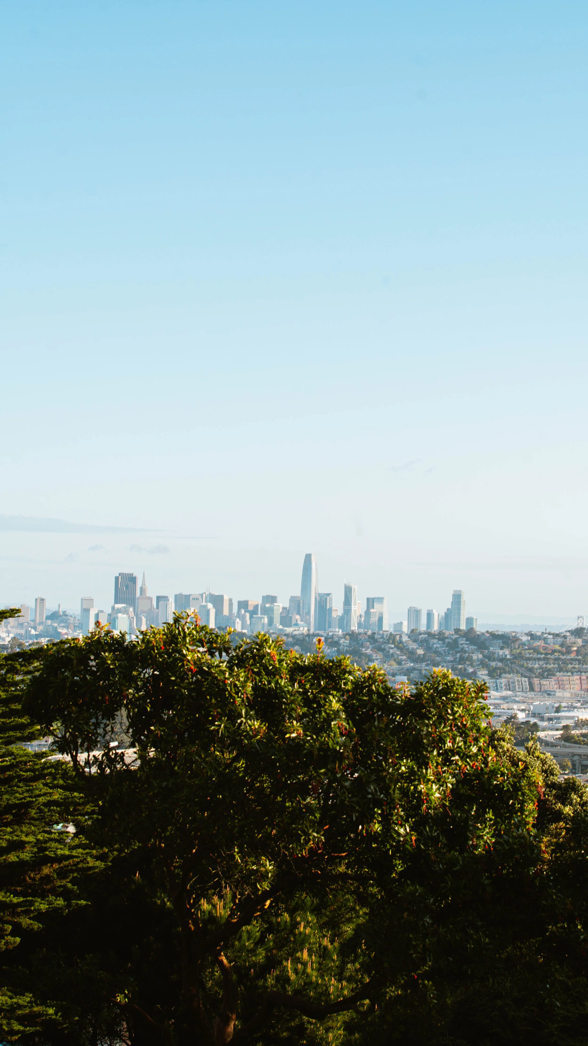 LOST!? - McLaren Park Guide