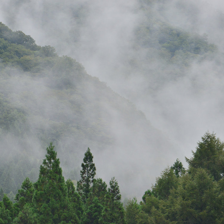 LABYRINTH2016-95 mist.jpg