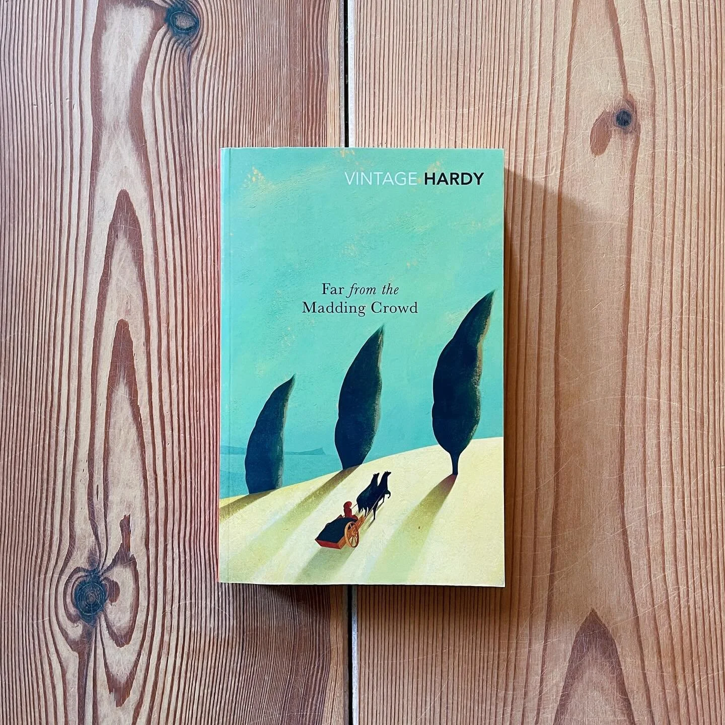 I finished Hemingway's Men Without Women; I'll add a review on Goodreads(.com/esarkaye) soon. Now I decided to finally make my way into Thomas Hardy's work. I have a bunch of his novels (in either the Everyman's Library or Vintage Classics editions) 