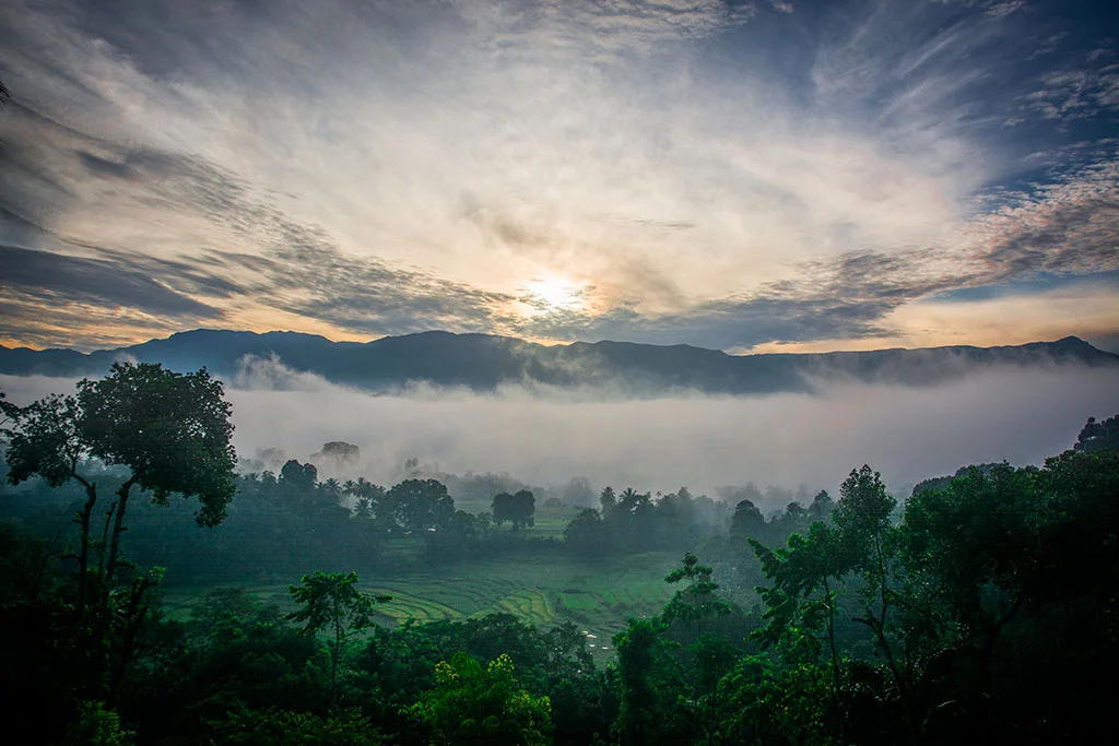 Natural History Holidays That Are So Different