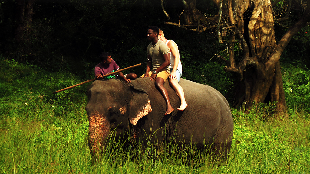 Pinnawala Elephant Ride