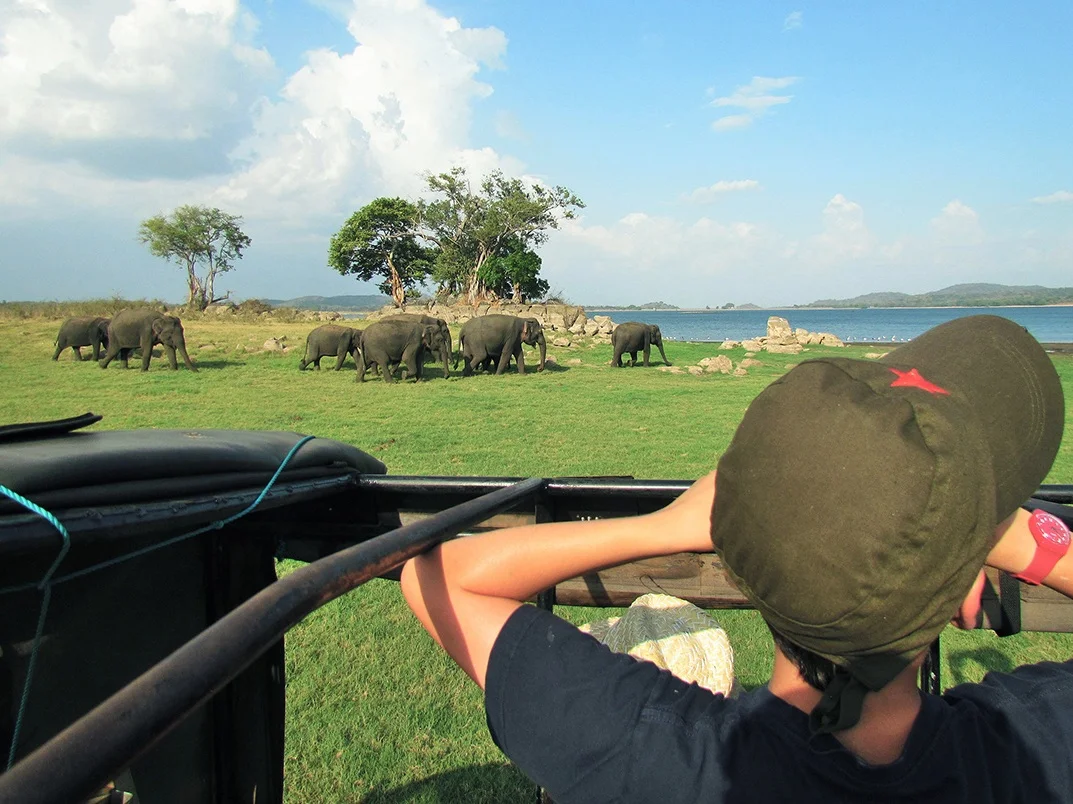Junior ranger safaris on an Ayu in the Wild family adventure itinerary
