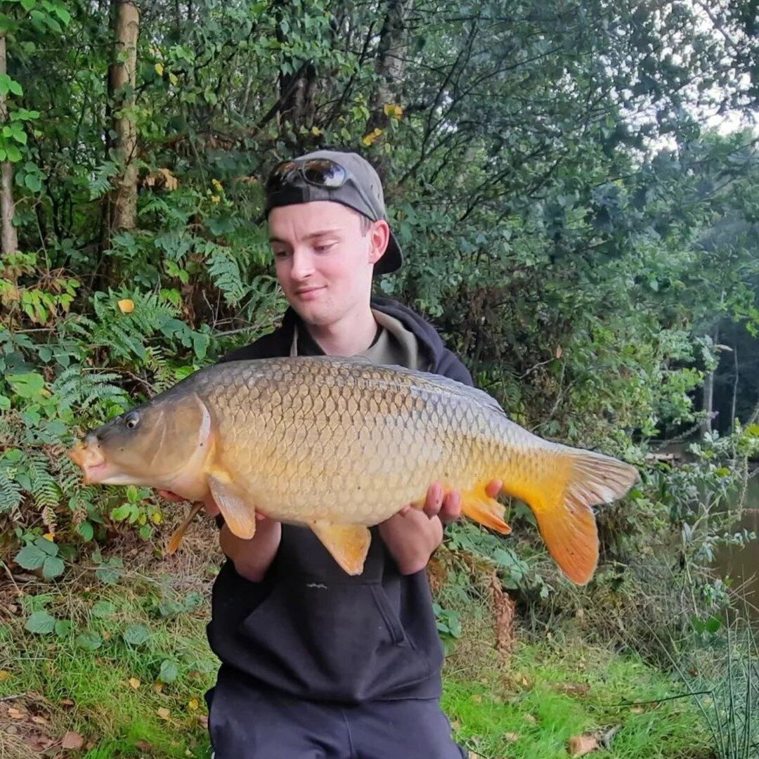 &quot;A plump common from the summer while it's slow on the fishing front now.

Tight up to an over hanging tree after seeing some fish show. Walked round and put a little bit of bait in then got the rig out. It only look took 10 minutes to get the b