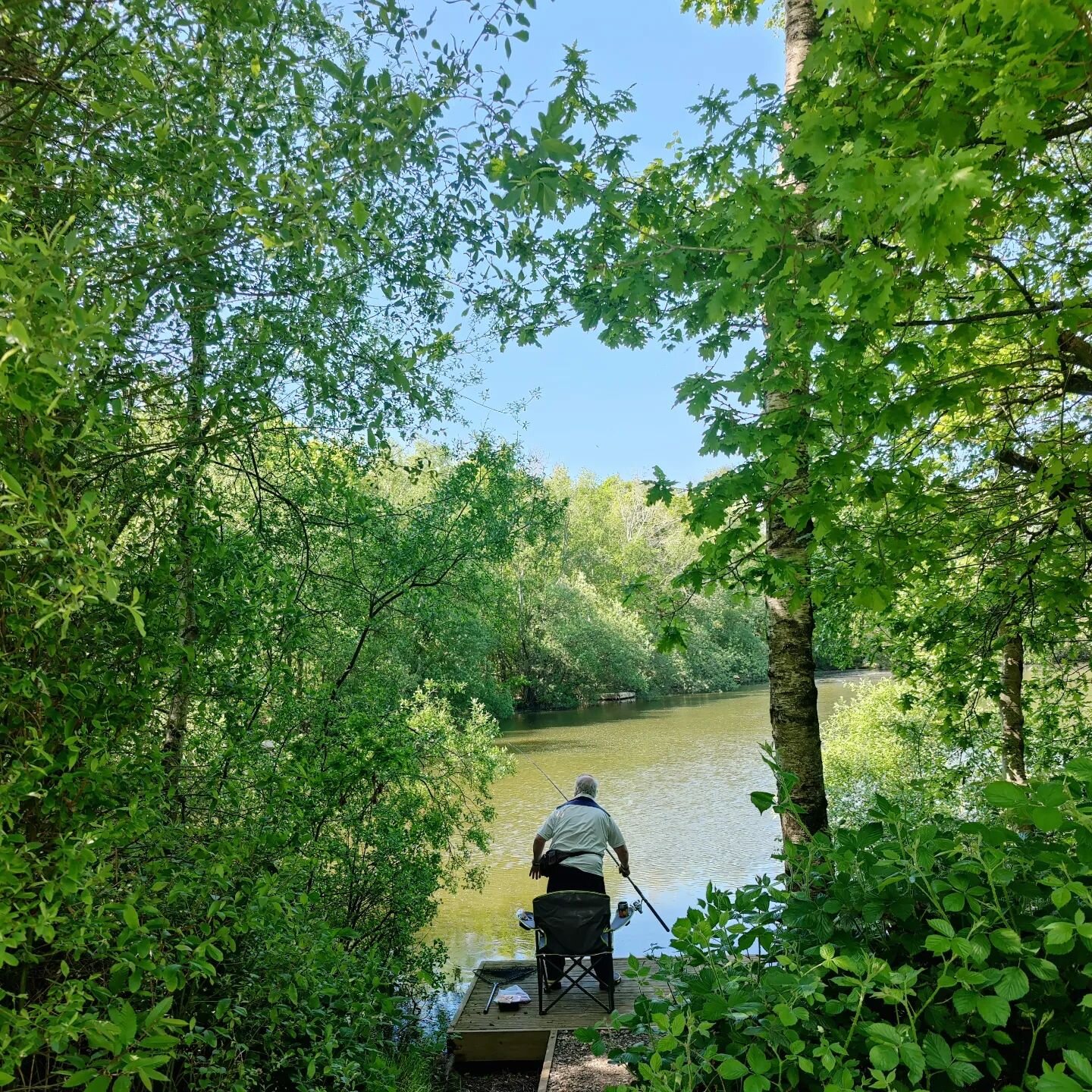 Beautiful afternoon for a spot of fishing #happysunday 

#staycation #carpfishing #fishingholiday #visitkent #fishinglake
