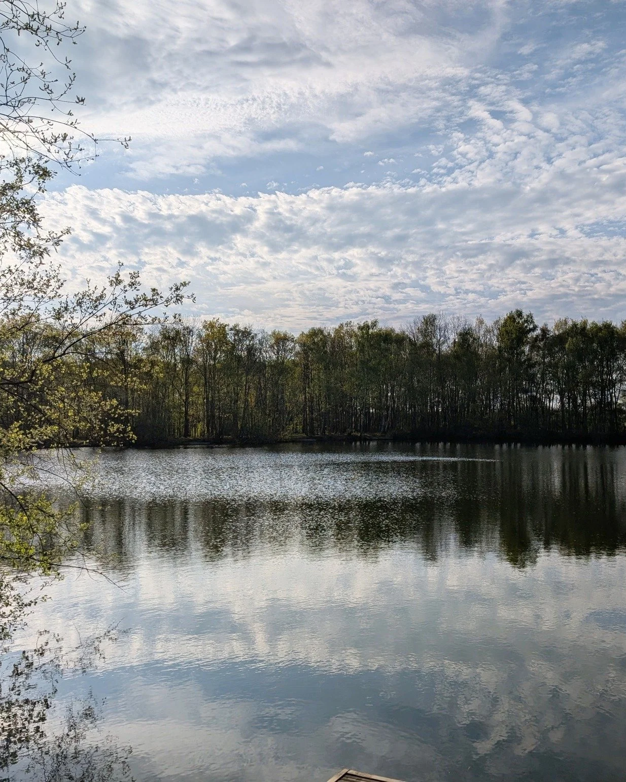 Bank holiday weekend on the lakes 🌿

Just a few ripples from the wind on the water. Every cloud, every tree, reflected straight back.

We hope you're having a lovely day enjoying the long weekend!

#BankHolidayWeekend #KentFishing #FishingHoliday #L